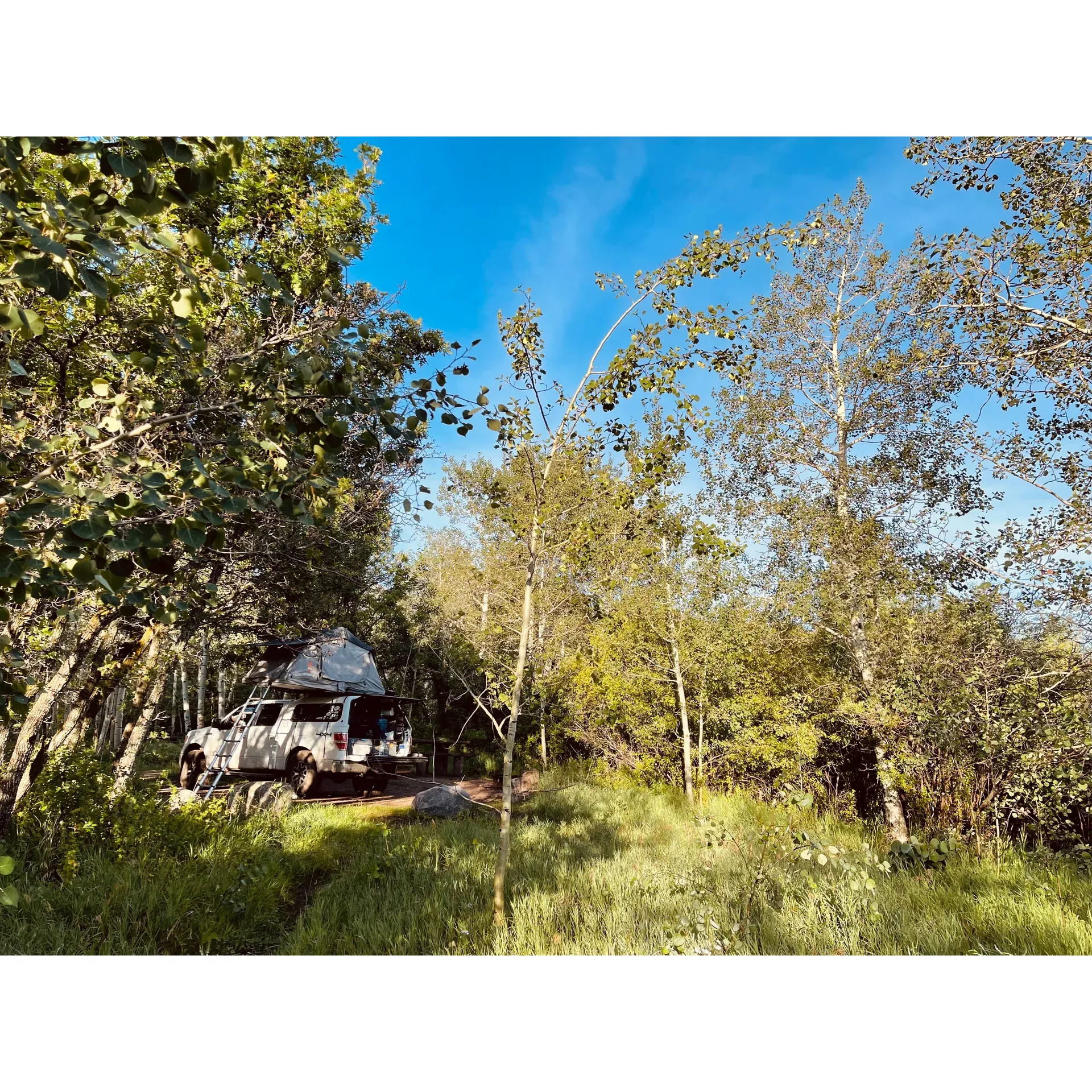 Lake Creek Campground offers a serene retreat for outdoor enthusiasts seeking a tranquil experience among the forested landscapes of Colorado. This charming, small-scale campground is a haven for campers who prefer a genuine connection with nature over the bustling atmosphere of larger, amenity-packed sites. Ideal for tent campers and those with smaller vehicles, the secluded campsites provide an intimate getaway, allowing visitors to bask in the undisturbed peace of the wilderness.

Guests at Lake Creek Campground are greeted by the pristine beauty of well-maintained natural surroundings, perfect for soaking in the quietude of the great outdoors. The campground's offering of peace and quiet is highly regarded, providing a rare opportunity to escape the hum of generators often associated with larger RVs. The picturesque setting is complemented by spaced-apart sites that ensure a level of privacy and tranquility hard to find elsewhere, allowing for a restful repose under the stars.

One of the highlights of Lake Creek Campground is its emphasis on simplicity and minimalism, drawing visitors who wish to truly disconnect and immerse themselves in the beauty of Colorado’s wilderness. The campground is complimented for having some of the cleanest vault toilets around, contributing to the overall pleasant and carefree camping experience.

With proximity to dispersed camping options just up the road, Lake Creek Campground is not only a destination itself but also a gateway to further adventure. Whether you're looking to unwind for a couple of nights or seeking a basecamp for exploring the wilderness, this campground is an inviting locale for those who cherish simplicity, solitude, and the great outdoors. Description by ChatGPT.