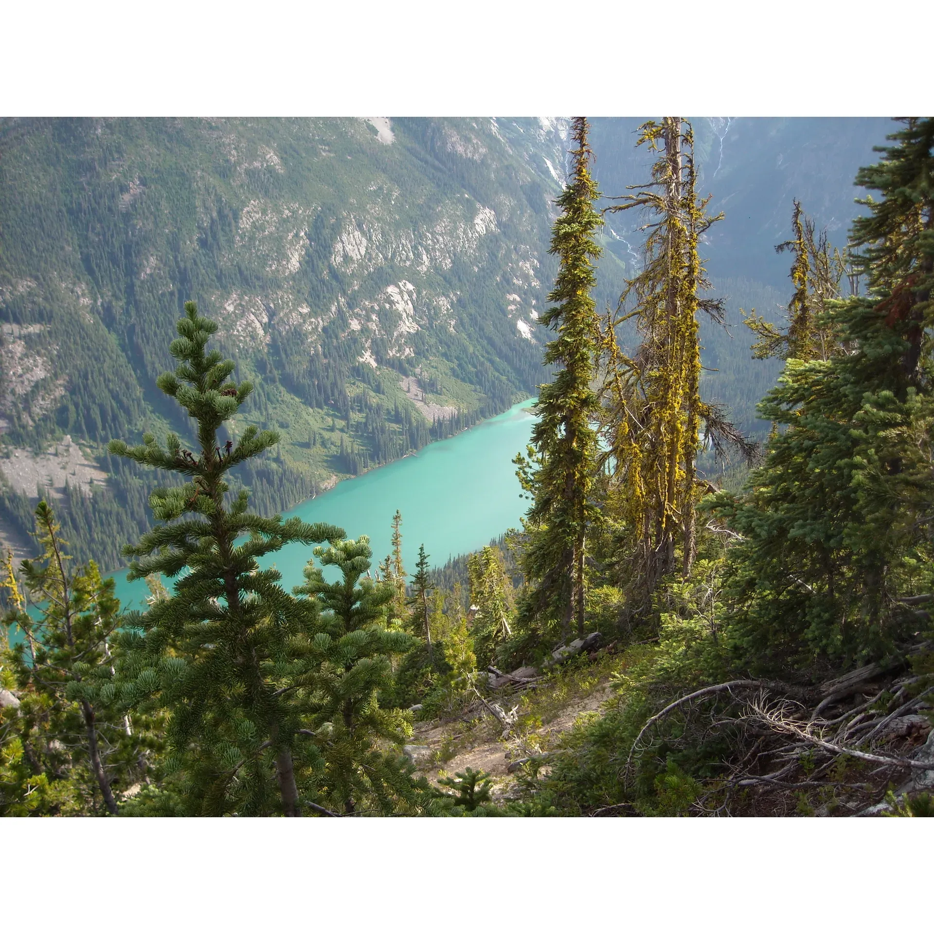 Stein Lake is a serene and picturesque lake located in the Thompson-Nicola region of British Columbia, Canada. It is situated near the Stein Valley Nlaka'pamux Heritage Park and offers a tranquil setting for outdoor enthusiasts to enjoy activities such as fishing, swimming, kayaking, and hiking.

The lake is surrounded by stunning scenery, including lush forests and towering mountains, making it a popular destination for nature lovers and photographers. Visitors can also spot a variety of wildlife in the area, including deer, eagles, and otters.

Stein Lake is a perfect spot for a day trip or overnight camping adventure, with several campgrounds nearby offering facilities for RVs and tents. The lake is accessible via a gravel road off Highway 99, with parking available near the shore for easy access to the water. Whether you're looking to relax and unwind in nature or participate in outdoor activities, Stein Lake is a beautiful destination to explore in the Thompson-Nicola region of British Columbia. Description by ChatGPT.