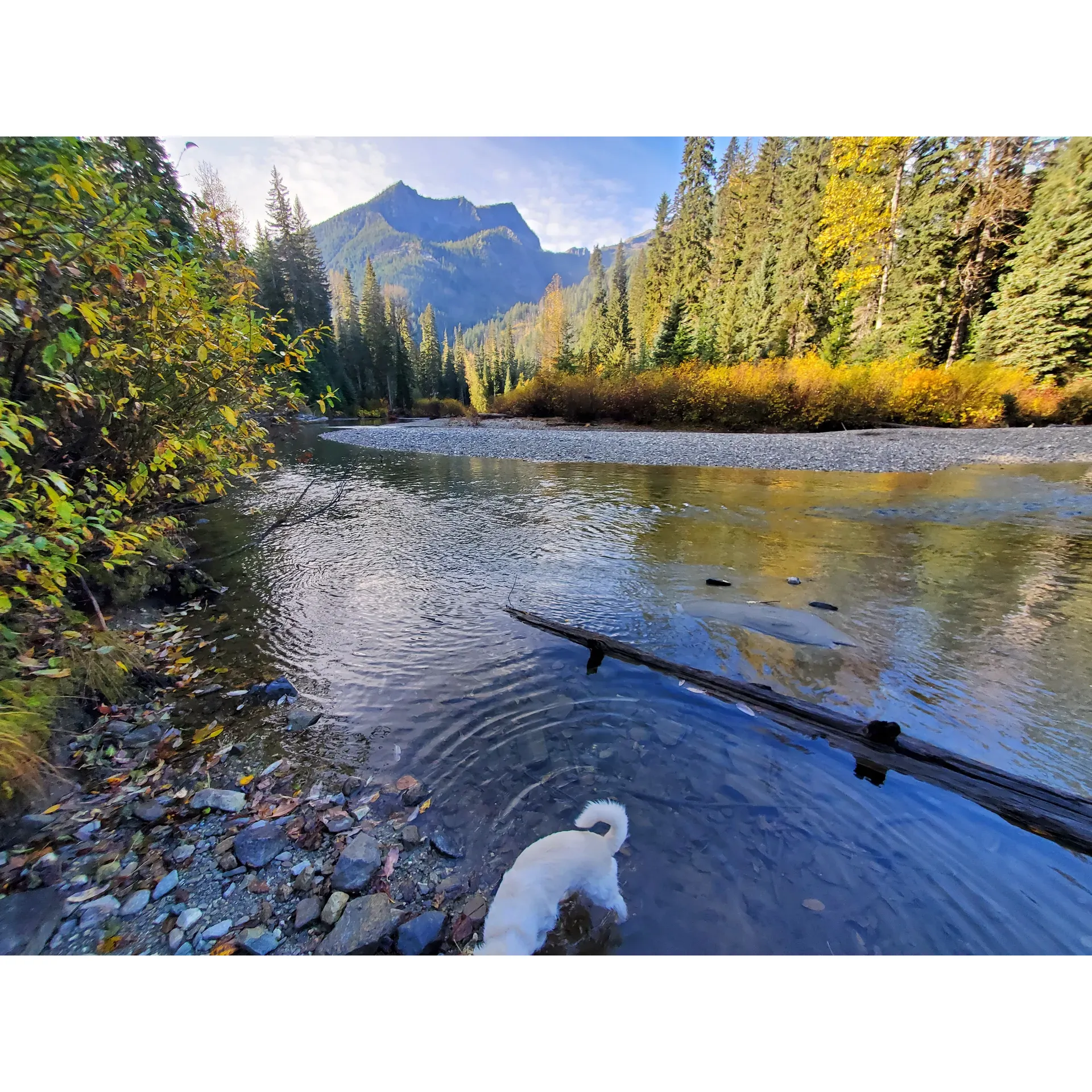 Atkinson Flat Campground offers a serene retreat for outdoor enthusiasts seeking an escape to nature's embracing calm. Situated along the banks of a lively river, this charming destination offers a truly immersive experience for campers. Visitors can look forward to a unique, picturesque riverfront site that grants an unparalleled opportunity to wake up to the gentle sounds of flowing water and an awe-inspiring 180-degree river vista.

The rustic charm of Atkinson Flat Campground is enhanced by the presence of abundant wildlife, where campers commonly spot grazing deer amidst the breathtaking landscapes. For those seeking simplicity and a return to the basics, the primitive facilities provide all that's needed for a genuine back-to-nature camping trip.

This beautiful area becomes a haven for those seeking tranquility during the week, offering an intimate setting for families to bond and create lasting memories surrounded by the splendors of the natural world. With its stunning surroundings and a tranquil river setting, Atkinson Flat Campground is a jewel for campers looking for an amazing outdoor experience. Description by ChatGPT.