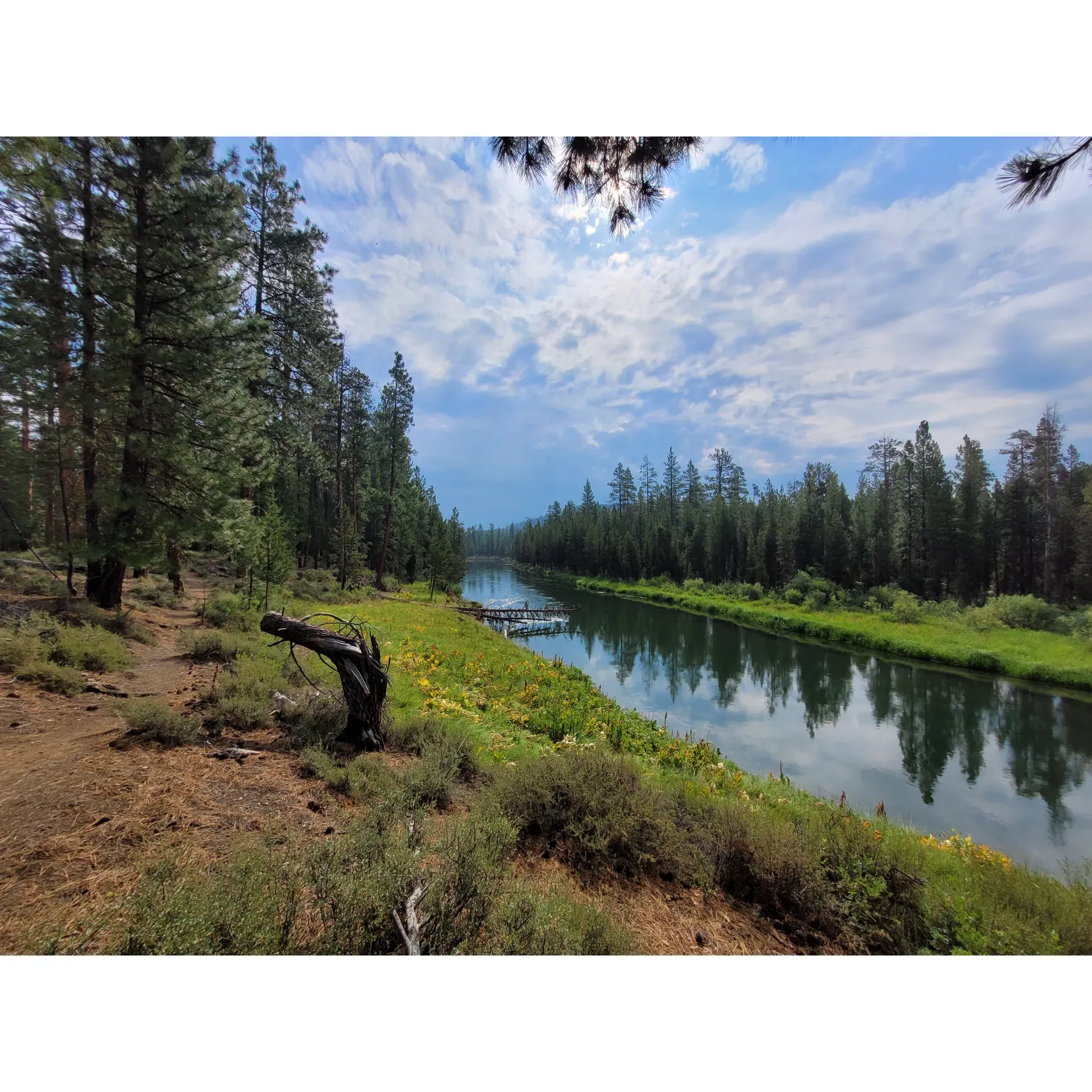 Bull Bend Campground is a serene oasis for nature enthusiasts and adventurers alike, offering a unique outdoor experience with its prime location by the tranquil Deschutes River. Ideal for those seeking tranquility and natural beauty, visitors are treated to an environment where quiet reigns supreme, perfect for unwinding and soaking in the picturesque surroundings.

The campground provides an excellent base for a range of activities. Guests can experience the joy of floating down the gentle currents of the river, an activity that promises relaxation and fun for the entire family. Children, especially, find delight in the water, sometimes even opting to forgo floatation devices in favor of life jackets, adding an extra sense of adventure to their experience.

Fishing enthusiasts are drawn to Bull Bend Campground for the opportunity to catch large brown trout, reputed to be abundant in the waters of the Deschutes. The campground's simple, unadulterated setting allows anglers to focus on their craft with minimal distractions.

Campsite options within the campground offer variety, with some spots boasting their very own beaches, providing a private slice of paradise for guests. These coveted locations are perfect for those who enjoy the sand between their toes and prefer a more intimate connection with the river's edge.

As night falls, Bull Bend Campground transforms into a different kind of sanctuary. With no artificial lights to interrupt the view, the night sky comes alive with crisp, clear stars, ideal for stargazers and romantics who wish to marvel at the universe's vast beauty.

Accessibility is ensured with well-maintained roads leading to the campground, allowing for a smooth journey into nature's embrace. Visitors are advised to arrive prepared, as the campground operates with a “pack in, pack out” philosophy, encouraging a self-sufficient camping experience.

Recognition of the campground's value is evident, with reservations increasingly recommended to secure a spot in this sought-after destination. Even with this transition to a more structured approach, the essence of Bull Bend Campground remains—an enchanting retreat where water whispers and nature's charm is abundant. Description by ChatGPT.