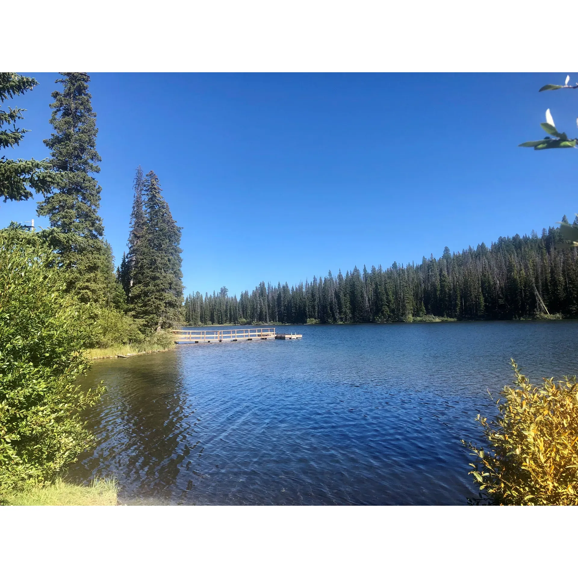 Lodgepole Lake Recreation Site offers an idyllic escape into the great outdoors, perfect for camping enthusiasts and day visitors alike. The site boasts a captivating landscape with the centerpiece being the beautiful Lodgepole Lake, which provides a tranquil backdrop for a variety of water activities.

Anglers will appreciate the satisfactory fishing opportunities the lake offers, while kayakers can enjoy serene paddles across the placid waters, immersed in the stunning natural surroundings. The site is well-suited for RV campers looking for a picturesque spot to park and unwind in the heart of nature.

Cleanliness is a priority at Lodgepole Lake Recreation Site, ensuring a pleasant and welcoming environment for all guests. The camp hosts are known for their hospitality, contributing to the overall positive experiences reported by visitors. Whether seeking a restful spot for a camping trip or a day out in the fresh air, this recreation site is a favored choice for those looking to immerse themselves in the beauty of the great outdoors. Guests are encouraged to come prepared with ample bug repellent to maximize their comfort during their stay. Description by ChatGPT.