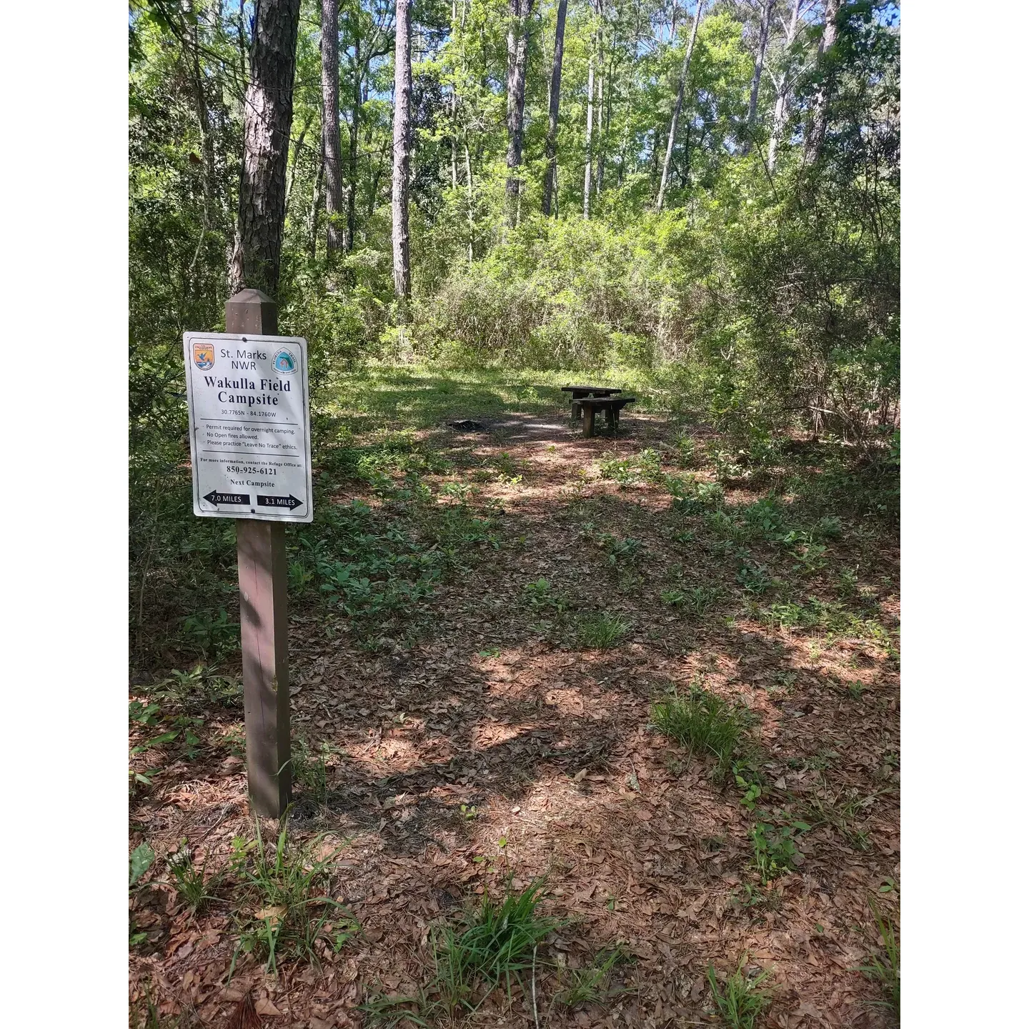 Wakulla Field Campsite is a tranquil and scenic camping spot located in Wakulla County, Florida. Situated at 32327, USA, this campsite offers a beautiful natural setting for visitors to relax and unwind. The site is equipped with basic amenities such as picnic tables, fire pits, and restroom facilities, making it a comfortable and convenient camping option for those looking to immerse themselves in nature.

Surrounded by lush forests and near the crystal-clear waters of Wakulla Springs, this campsite offers a great opportunity for outdoor enthusiasts to hike, swim, and explore the surrounding area. The campsite is also conveniently located near various attractions and activities, such as hiking trails, wildlife viewing spots, and kayaking opportunities. Whether you're looking for a peaceful retreat in nature or an adventurous outdoor experience, Wakulla Field Campsite provides a perfect setting for a memorable camping trip in Wakulla County, FL. Description by ChatGPT.