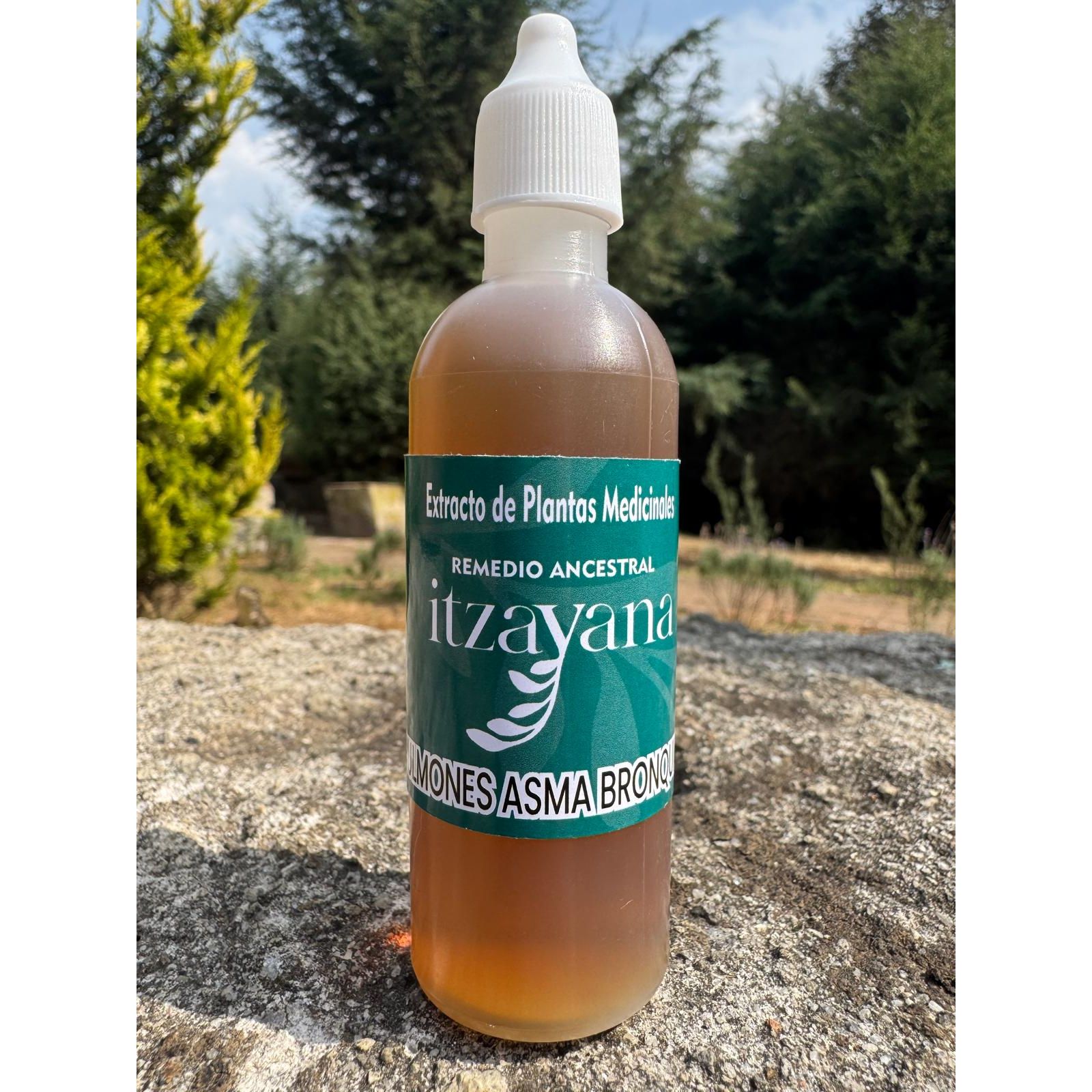 Discover the TINCTURE FOR LUNGS, ASTHMA AND BRONCHI, your natural ally to breathe better and feel immediate relief! This unique formula is specially designed to eliminate dry cough, phlegm and cleanse your lungs effectively.Carefully selected ingredients: - Abango and Eucalyptus: known for their expectorant and decongestant properties.