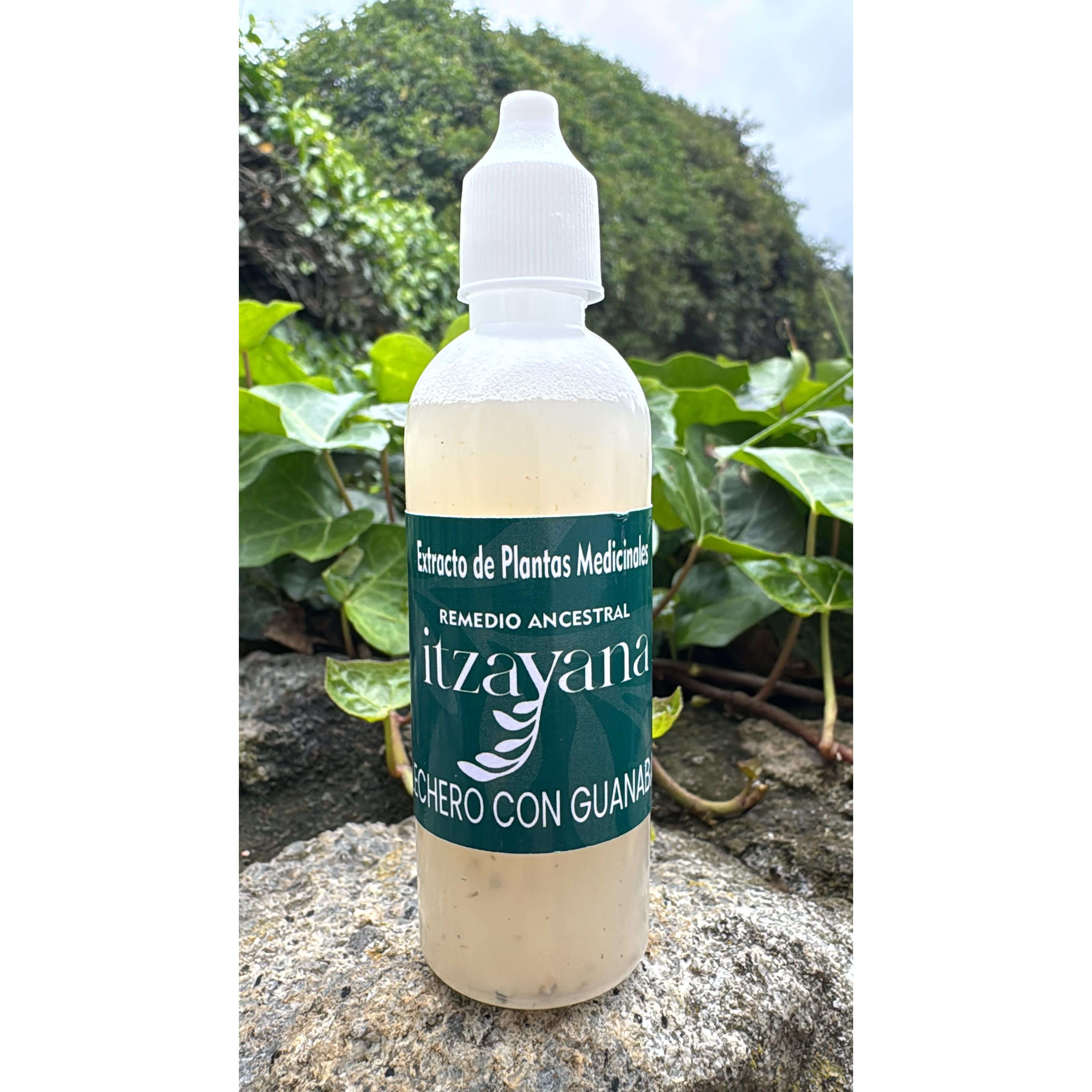 Discover African Dairy Tincture with Soursop, a natural elixir that will transform your health and well-being! This dietary supplement stands out for its multiple health benefits.