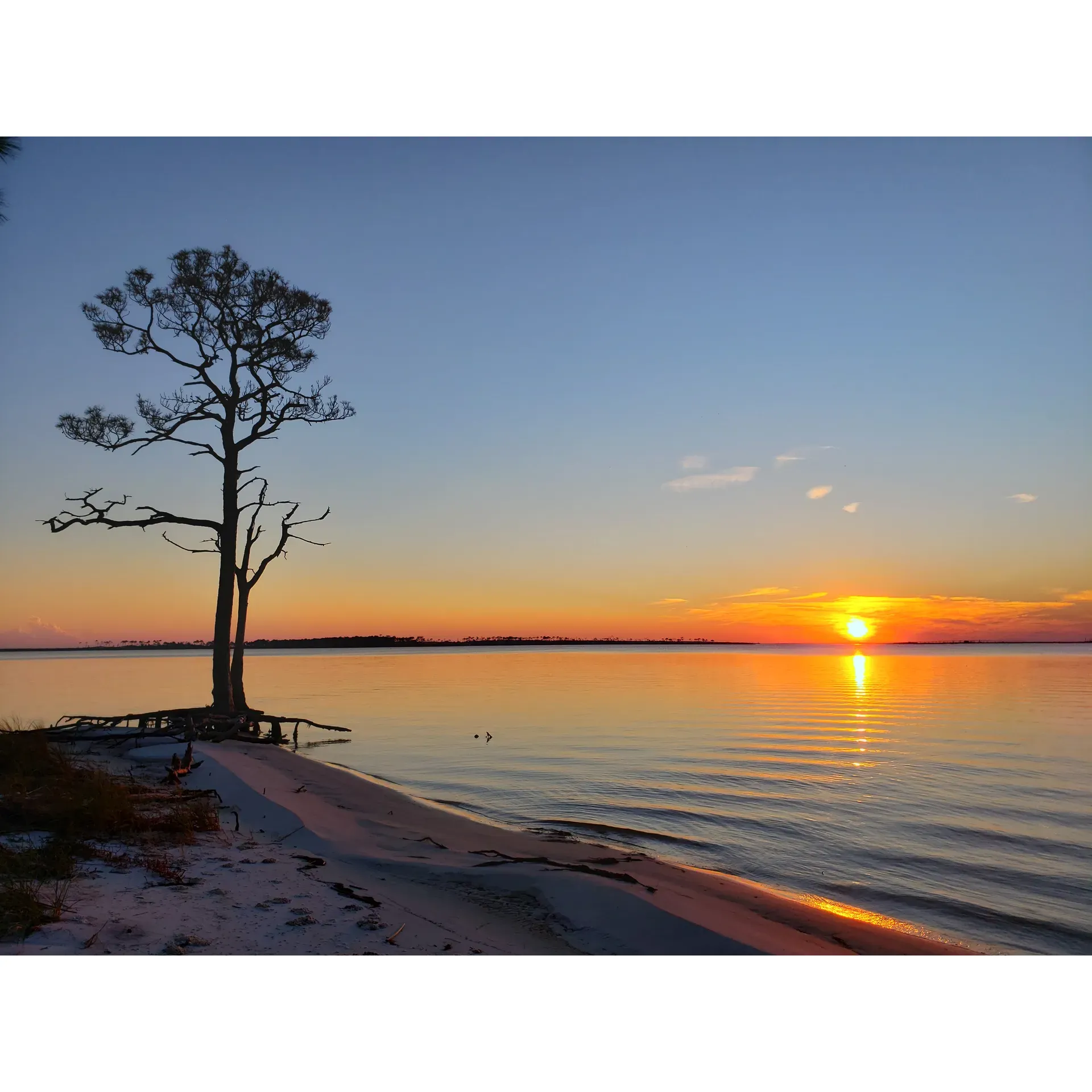 Discover the allure of the great outdoors at Gap Point Primitive Campsites, a haven for nature enthusiasts seeking tranquility and adventure. As you embark on a scenic forest trail leading to a picturesque bay viewpoint, you'll find the journey as rewarding as the destination. The 2.5-mile trail unfolds a landscape that challenges and entices with its sandy terrain, inviting hikers to embrace the great outdoors in its purest form. The trail invites cool-day wanderers and morning explorers to revel in the serenity.

Wildlife thrives here, with eagles soaring high - keep an eye out for their majestic nests as you approach the trail's end during winter months. For the intrepid explorer, low tides reveal a path to an additional campsite, where the shore joins with another sandy trail looping back - a magical secret for the adventurous soul.

Once you arrive, Gap Point Primitive Campsites offer an experience characterized by its simplicity and natural beauty. The campsites provide an intimate setting marked by quiet solitude where privacy reigns supreme. Here, you can forge a deep connection with nature's undisturbed splendor.

The route is enhanced by the convenience of benches and distance markers every half mile, allowing you to pause and appreciate the surrounding beauty. When planning your journey, consider a light backpack or a bicycle for ease of travel over the mainly flat terrain. The campsites themselves are well-equipped with amenities such as picnic tables and fire pits with grates, ensuring comfort amidst the wild.

Bask in the awe-inspiring celestial showcase as night falls; the absence of light pollution offers a superb stargazing experience. Gap Point's breathtaking views, both day and night, make it a sought-after destination for anglers and lovers of the starry sky alike.

Embrace the spirit of outdoor living and create lasting memories at Gap Point Primitive Campsites where nature's embrace is a treasure to be discovered. Description by ChatGPT.