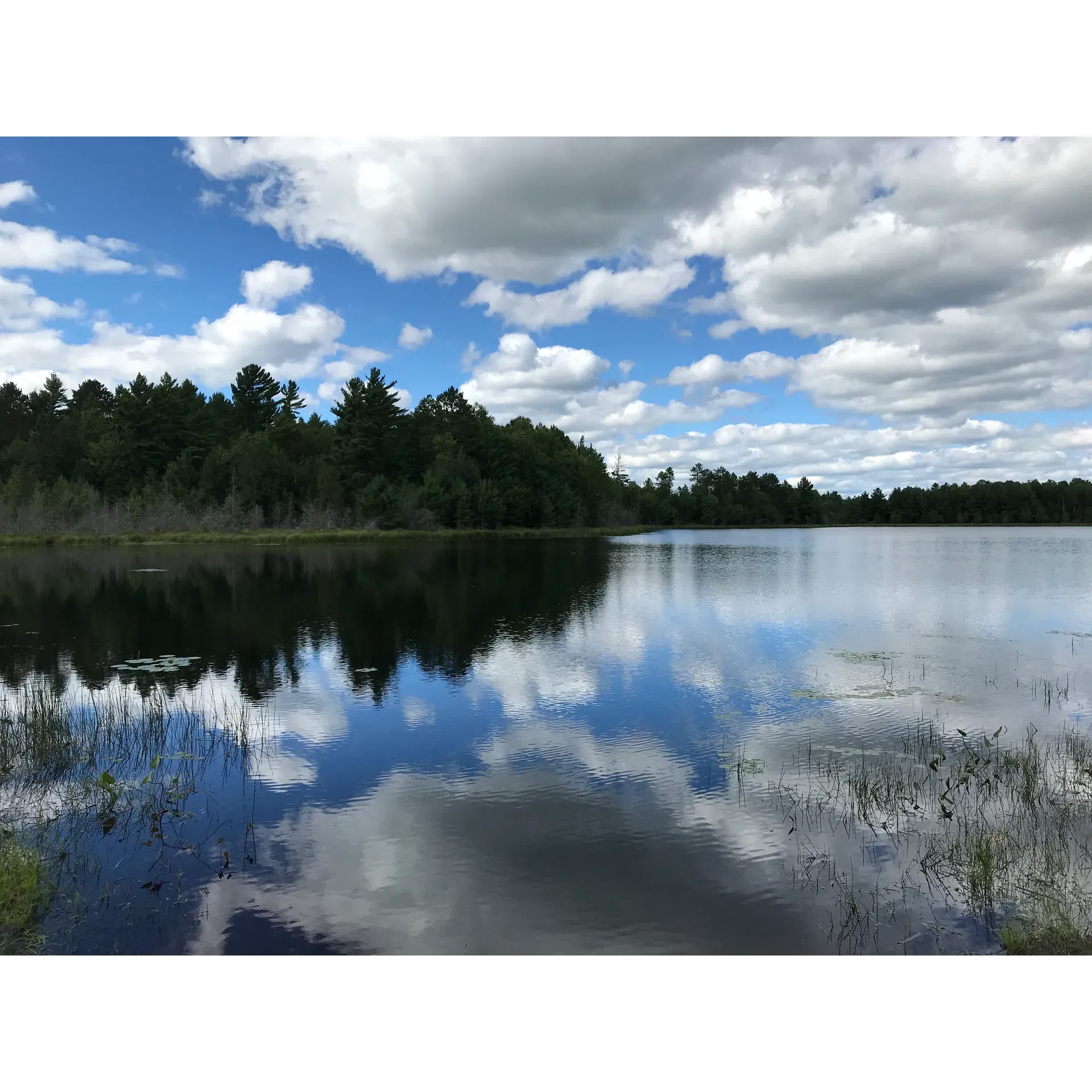 Emily Lake Campground is a charming and well-regarded destination for outdoor enthusiasts who have appreciated its allure for decades. Boasting an enviable location with direct access to the serene Emily Lake, guests are commonly pleased with the ease at which they can indulge in aquatic activities, including canoe fishing which is praised for being particularly rewarding in the area. The lake is also known to surprise anglors with the occasional large catch, adding to the excitement of fishing encounters.

Outdoor adventurers looking for a base to explore will find Emily Lake Campground advantageous, with its proximity to scenic Tucker portage and the Flambeau river offering additional avenues for exploration and excitement. Wildlife is abundant in the region, providing guests with an opportunity to connect with nature, and for bird hunting aficionados, the pursuit of grouse is cited as a fulfilling challenge.

With competitively priced offerings, Emily Lake Campground is noted for its spacious sites which allow for a comfortable stay and the paved paths make for an easy drive in. Practical amenities such as water pumps, pit toilets, and boat launches enhance the functionality of the campground while the natural beauty of the small lake acts as a serene backdrop for boating and relaxation.

Regular campers underscore how a stay at Emily Lake Campground, particularly during the early autumn period, can be a rewarding experience. The local towns in the vicinity add to the holiday charm, presenting fun exploratory options for days when one wishes to take a break from the wilderness.

Cleanliness and privacy are key attributes that have been highlighted by appreciative visitors, along with the added convenience of barbecue pits and restrooms to ensure a comfortable and delightful camping experience. Emily Lake Campground, with its serene environment, ample fishing opportunities, and an array of facilities, is portrayed as encapsulating the quintessential elements of an enjoyable campground. Description by ChatGPT.