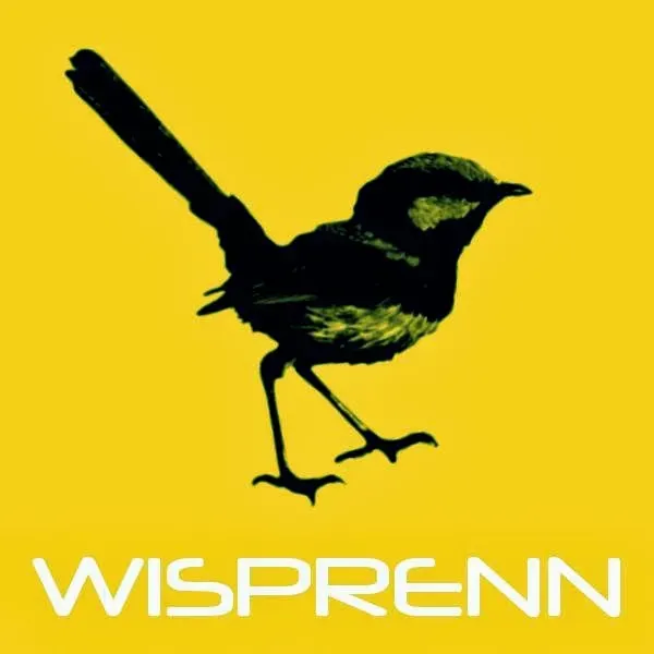 WISPRENN emerges as a beacon of exceptional customer-focused service within the world of internet connectivity and technical support. The company is celebrated for its dependable and courteous team, with particular commendation directed toward its standout professionals, Joe and Cory. Praised for their outstanding communication, patience, and proficiency in addressing all customer inquiries, Joe and Cory leave a mark of excellence that resonates deeply with clients.

Ensuring meticulous punctuality, the WISPRENN team is noted for arriving on time for appointments, showcasing politeness and friendliness—traits that are highly cherished by those they serve. This attribute is finely interwoven with the culture of WISPRENN, reflecting a broader commitment to respect and customer satisfaction.

Impeccable installation services set WISPRENN apart, as the team’s clean and swift setup leaves a lasting impression on homeowners, particularly those moving into new residences. Joe and Cory embody the company’s determination to listen closely to customer desires and convert them into reality, thereby forming fulfilling experiences that exceed expectations.

Strengthening the brand'’s reputation is the robust technical support WISPRENN offers. Joe’s attentiveness to service calls, coupled with his skill in addressing technical issues, further illuminates the company’s dedication to maintaining high-quality internet service. The additional step of updating routers for customers highlights the proactive approach WISPRENN takes to ensure they are always providing cutting-edge solutions.

Following severe weather conditions, WISPRENN's responsiveness is unmistakable. Joe’s expertise in readjusting equipment and optimizing connections to enhance internet speeds demonstrates the company’s agility and competence in restoring and improving services under any circumstance.

The enthusiasm and professional brilliance of WISPRENN elicited through reviews is a testament to its unyielding commitment to customer satisfaction and service quality. A community of contented customers, including the Manich family, commend WISPRENN for the remarkable work done by their technician Joe, who leaves an indelible impression with his valuable advice, efficiency, and personable assistance.

WISPRENN, through its dedication, knowledgeable staff, and genuine care for its clientele, earns its accolades and recommendations, reflecting the foundational tenets that drive the company to be a highly respected and sought-after provider within the industry. Description by ChatGPT.