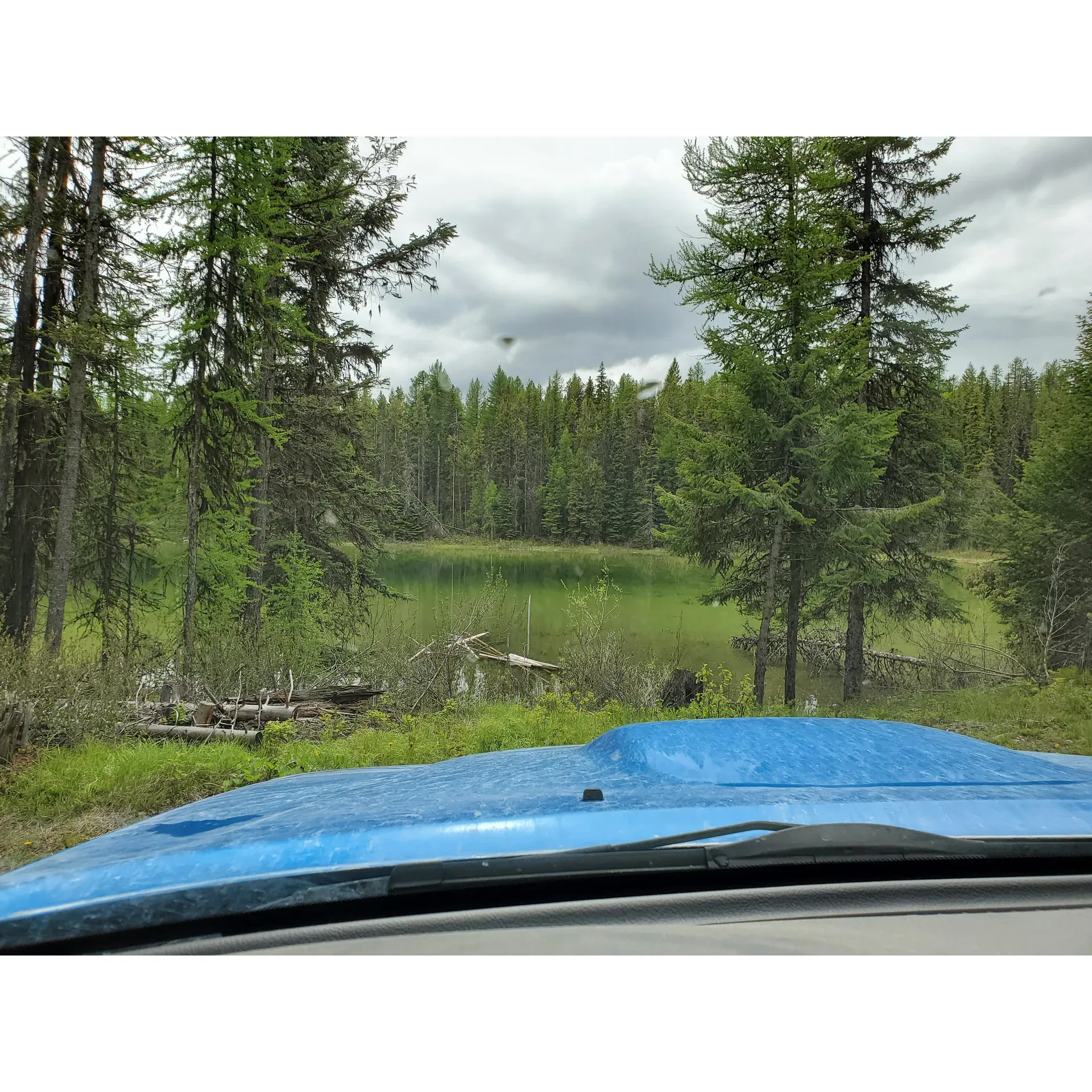 Fenwick Lake Recreation Site is an idyllic escape for outdoor enthusiasts and those seeking the tranquility of nature. Set amidst a picturesque landscape, the recreation area offers an array of opportunities for adventure and relaxation. While the journey to the lake is an adventure in itself, suitable for vehicles with higher clearance, a delightful alternative lies just a short drive away at Fenwick Creek.

At Fenwick Creek, visitors can enjoy the serene environment, where the gentle sounds of flowing water and the melodic calls of local wildlife create a soothing ambiance. The area is perfect for day trips, where guests can immerse themselves in the natural beauty, take leisurely strolls along the water's edge, or simply unwind and enjoy a peaceful picnic with family and friends.

This recreation site provides a welcome retreat from the hustle and bustle of daily life. Whether you're seeking a place to connect with nature, capture stunning photographs of the surrounding scenery, or enjoy a quiet moment by the water, Fenrick Lake Recreation Site and the nearby Fenwick Creek are enchanting destinations waiting to be explored. Description by ChatGPT.