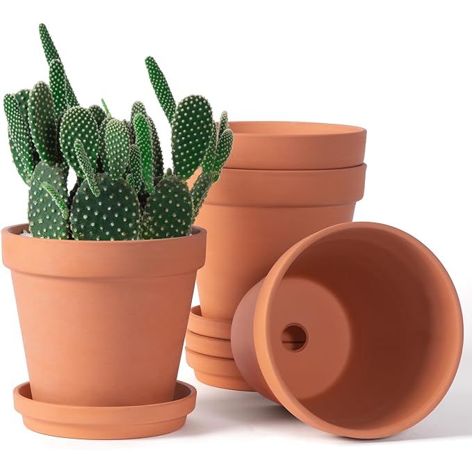 The 6 inch Clay Pots for Plants with Saucer are a set of four large terra cotta plant pots that come with drainage holes and trays. These terracotta pots are suitable for both indoor and outdoor use and are designed to provide a sturdy and stable base for your plants.