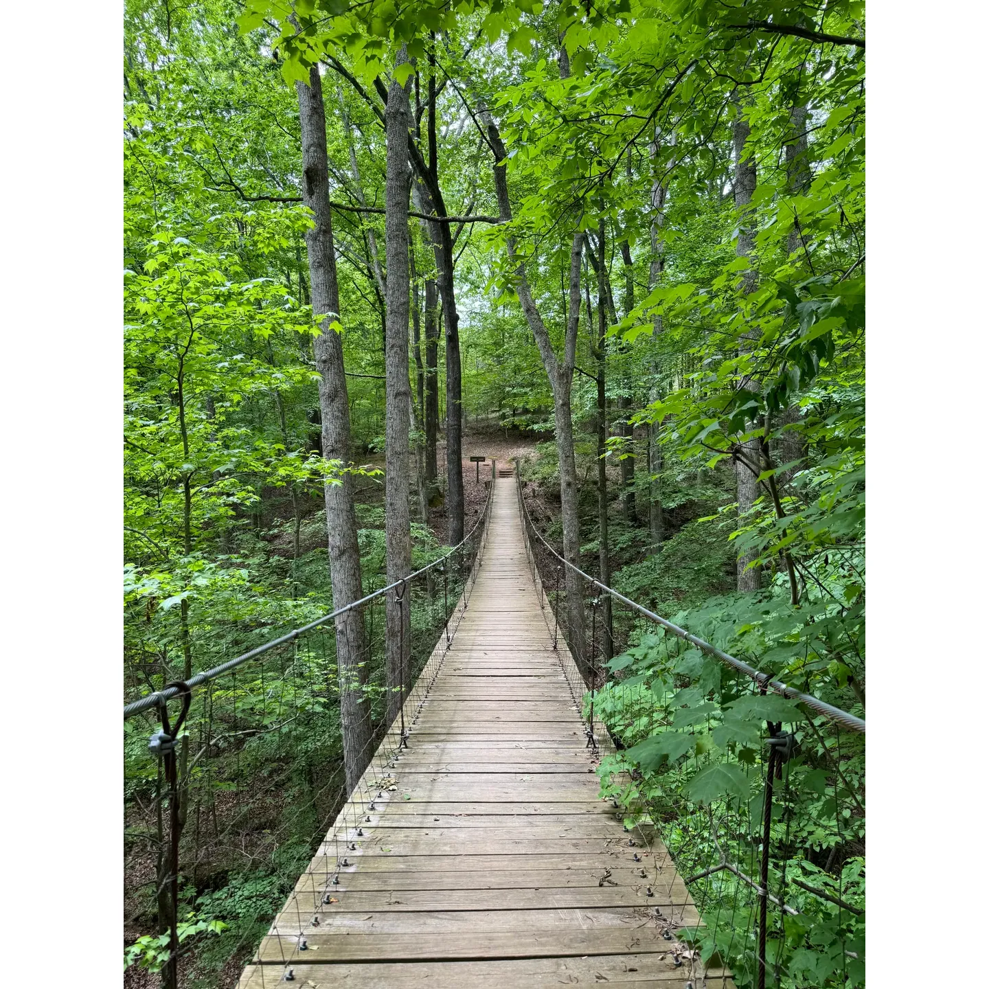 Tims Ford State Park is an outdoor enthusiast's paradise, renowned for its breathtaking landscapes and an array of recreational activities available throughout the year. Boasting an impressive expanse of bank access, the park is a haven for anglers eager to reel in their next big catch in the tranquility of the Tennessee outdoors. With its abundance of picnic areas, visitors can indulge in leisurely meals surrounded by nature's splendor.

The park offers an enchanting aviary that delights bird watchers and nature lovers alike, along with stunning views that are a treat for photographers and those who appreciate natural beauty. With an extensive network of trails catered to hiking, biking, and walking, including a paved option, guests of all ages and abilities can explore the picturesque surroundings. The drive to the park adds to the overall experience, with visitors often noting the journey to be as enjoyable as their time spent within the park itself.

Throughout the change of seasons, Tims Ford State Park transforms into a winter wonderland when snowfall blankets the area, adding to its serenity and charm. Campers find solace in the well-appointed campsites situated right by the lake, offering a peaceful retreat even amidst the winter's embrace.

The camaraderie and support displayed by the park's staff and camp hosts are often highlighted, ensuring a safe and welcoming environment for all guests. Hospitality is paramount, and in times of unforeseen weather challenges, the park’s commitment to visitor safety shines through.

For aquatic adventure-seekers, the lake is a preferred destination for boating excursions, and the park’s facilities cater to both fishing and ski boats. The camping experience is equally prized for its beauty and serene landscape. Special excursions like canoe camping on LeatherWood Island offer a unique blend of adventure and tranquility, providing memories that beckon visitors to return.

For those seeking a more structured stay, the park boasts well-maintained cabins that promise comfort amidst the wilderness. The Nature Center and birds of prey exhibits add an educational element, making the park an ideal destination for families looking to combine fun with learning.

Exceptionally clean and equipped with modern amenities, Tims Ford State Park transcends a simple outdoor getaway, offering an immersive experience that marries the rustic charm of camping with the comforts of home. Whether it’s the well-crafted trails that invite children and adults to learn as they explore, or the thoughtful attention to preserving the park’s pristine condition, visitors leave with a sense of fulfillment and a desire to come back for more.

Highly recommended by outdoor enthusiasts and casual travelers alike, Tims Ford State Park stands out as a jewel in the Tennessee state park system, promising a memorable experience for all who visit. Description by ChatGPT.