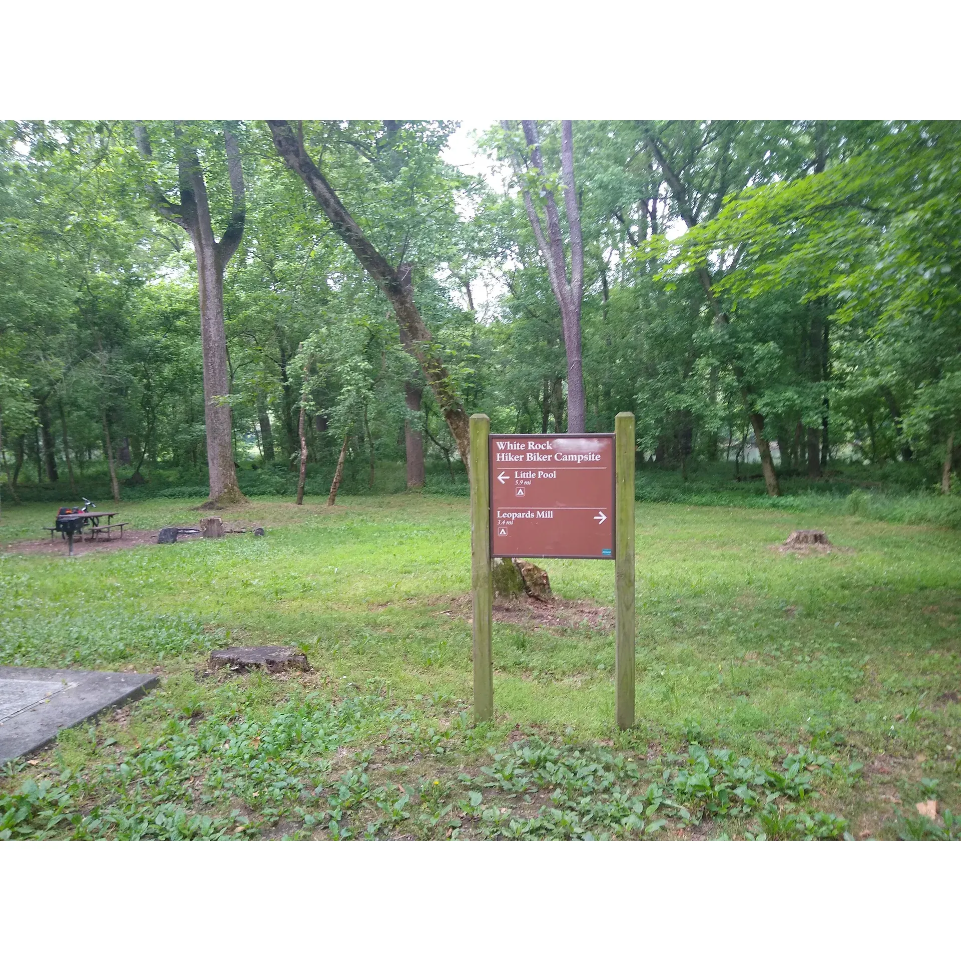 White Rock Hiker-Biker Campsite offers outdoor enthusiasts a serene and convenient retreat along the scenic C&O Canal towpath. This charming, smaller campsite provides essential amenities for a comfortable stay in the great outdoors, including a well-maintained picnic table, a fire pit for cozy gatherings, and a grill ready for preparing your favorite campsite meals.

Visitors will appreciate the ease of access to this picturesque spot, which is just a short, effortless walk from the majestic Potomac River. The surrounding abundance of trees not only enhances the natural beauty of the area but also promises an ample supply of firewood for those dry nights under the stars.

Acknowledged for its operational water pump, the campsite offers a reliable source of water to refresh and rejuvenate after a day of exploring the towpath. Additionally, the presence of a clean porta potty emphasizes the site's commitment to providing basic comforts for its guests.

The campsite's proximity to the town of Hancock means that those seeking a mix of rustic camping with nearby conveniences have the option to venture into town, where additional accommodations, like bicycle-friendly B&Bs, await.

With plenty of room to accommodate a group, White Rock Hiker-Biker Campsite stands out as a tranquil and practical choice for hikers and bikers eager to enjoy a taste of nature with the ease of accessible facilities. Whether you are just passing through or planning a longer stay, this campsite invites you to enjoy the natural splendor and the welcoming spirit of the great outdoors. Description by ChatGPT.