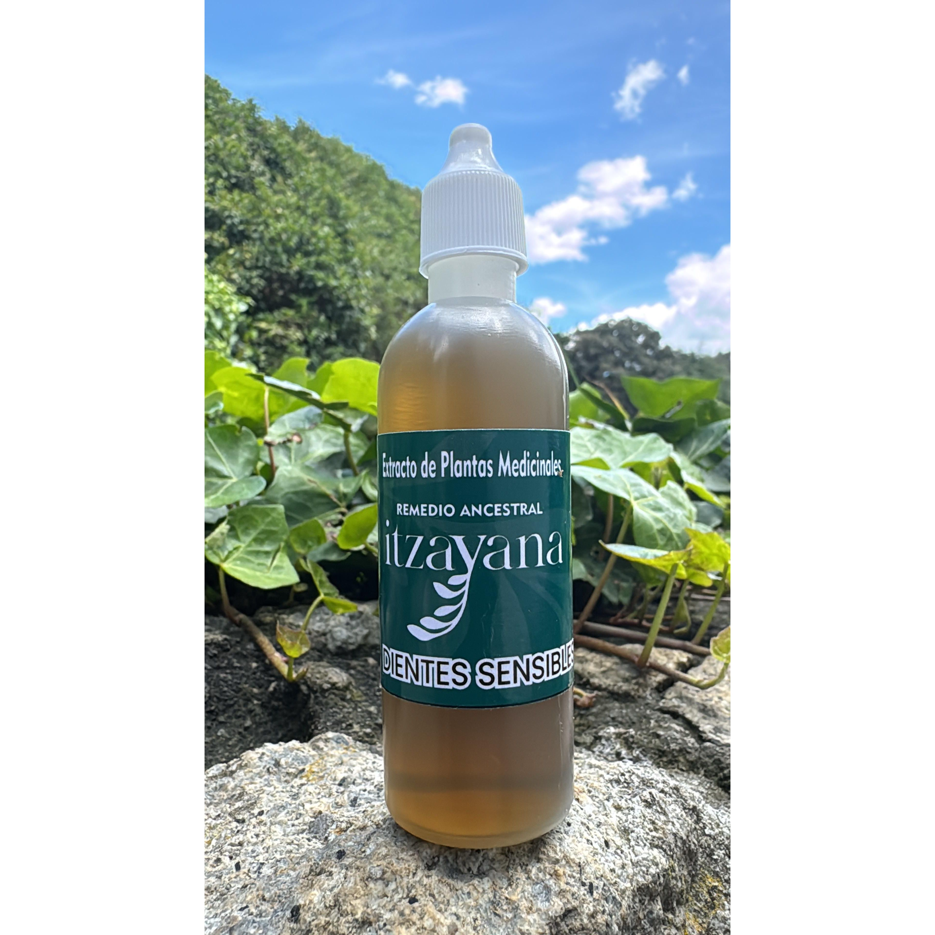 100% Ancestral and Artisanal Product. Tincture for Toothaches with Comfrey and Nettle. How to use: Apply 5 to 10 drops directly to the affected area (teeth, gums or molar), with the help of a sterile dropper or swab. Let stand and do not rinse immediately. Repeat as many times as necessary during the day, depending on the discomfort.