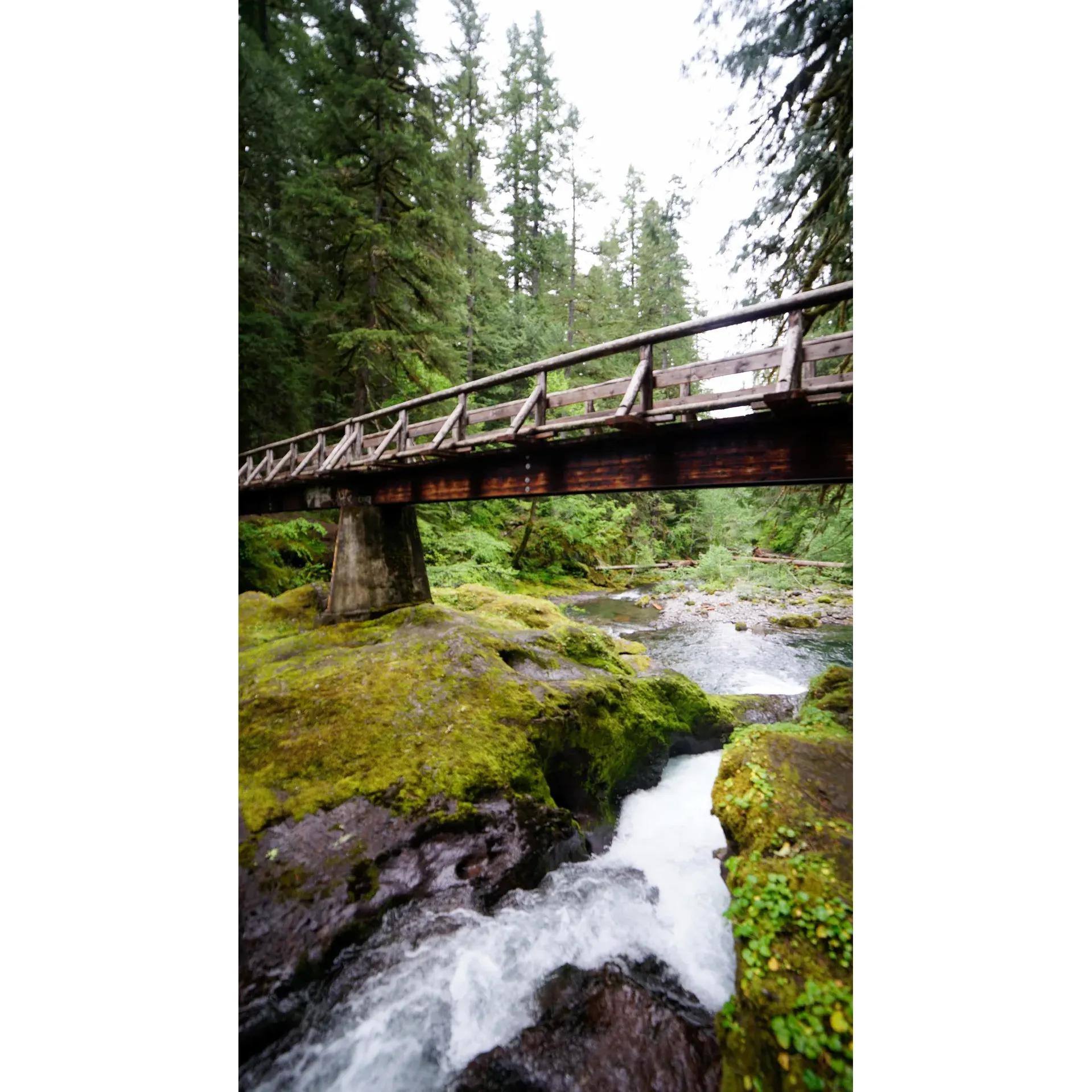 Escape to the serene beauty of Bagby Hot Springs Campground for an immersive outdoor experience where tranquility meets adventure. A scenic 1.5-mile hike from the campgrounds takes you to the enchanting Bagby Hot Springs, a natural oasis providing a rejuvenating escape with several soaking tubs, where the respect for nature and considerate sharing of space is commonly observed by visitors. 

Experience the harmony of the outdoors with campsites that offer a peaceful retreat, including favored locations like Campsite 8, close enough to the stream for its soothing sounds to lull you to sleep. Revel in the magic of the forest and the simplicity of the surroundings, complemented by well-maintained trails and facilities that accentuate the rustic charm of the area.

The campground facilitates easy access to morning or evening soaks in the hot springs and boasts a variety of site options, from those perfect for large family gatherings to more private, individual spaces. Immerse yourself in the pure, hot waters of the tubs and let the natural setting transport you to a state of relaxation and contentment.

Bagby Hot Springs Campground is not just a place to stay; it's a destination that captures hearts and offers an unforgettable outdoor experience, making it a treasured favorite and a must-visit location for nature enthusiasts. Description by ChatGPT.