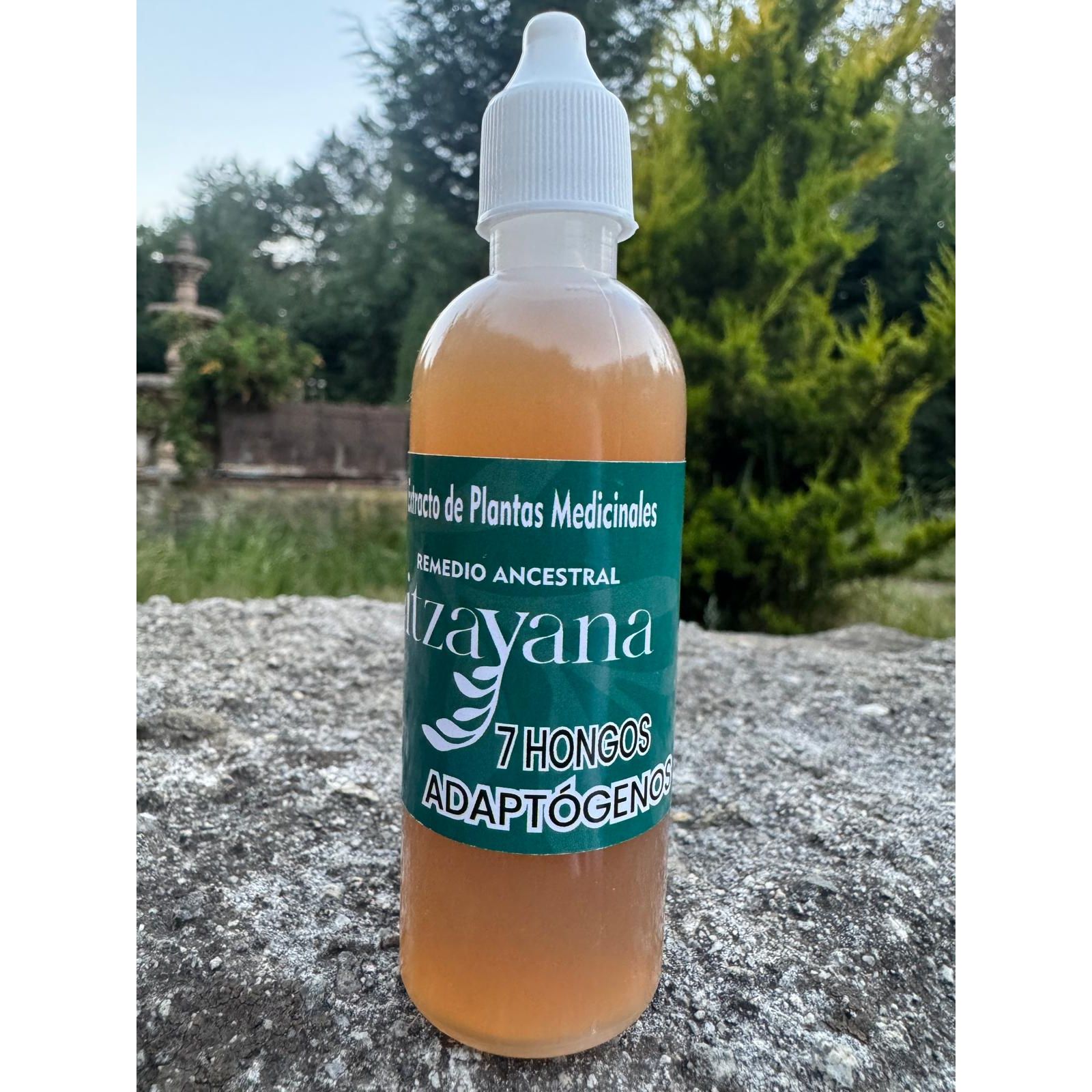 The Tincture of 7 Adaptogenic Mushrooms is a powerful combination of medicinal mushrooms, designed to improve your overall well-being. These mushrooms, recognized for their adaptogenic properties, help the body adapt to stress and promote holistic health.