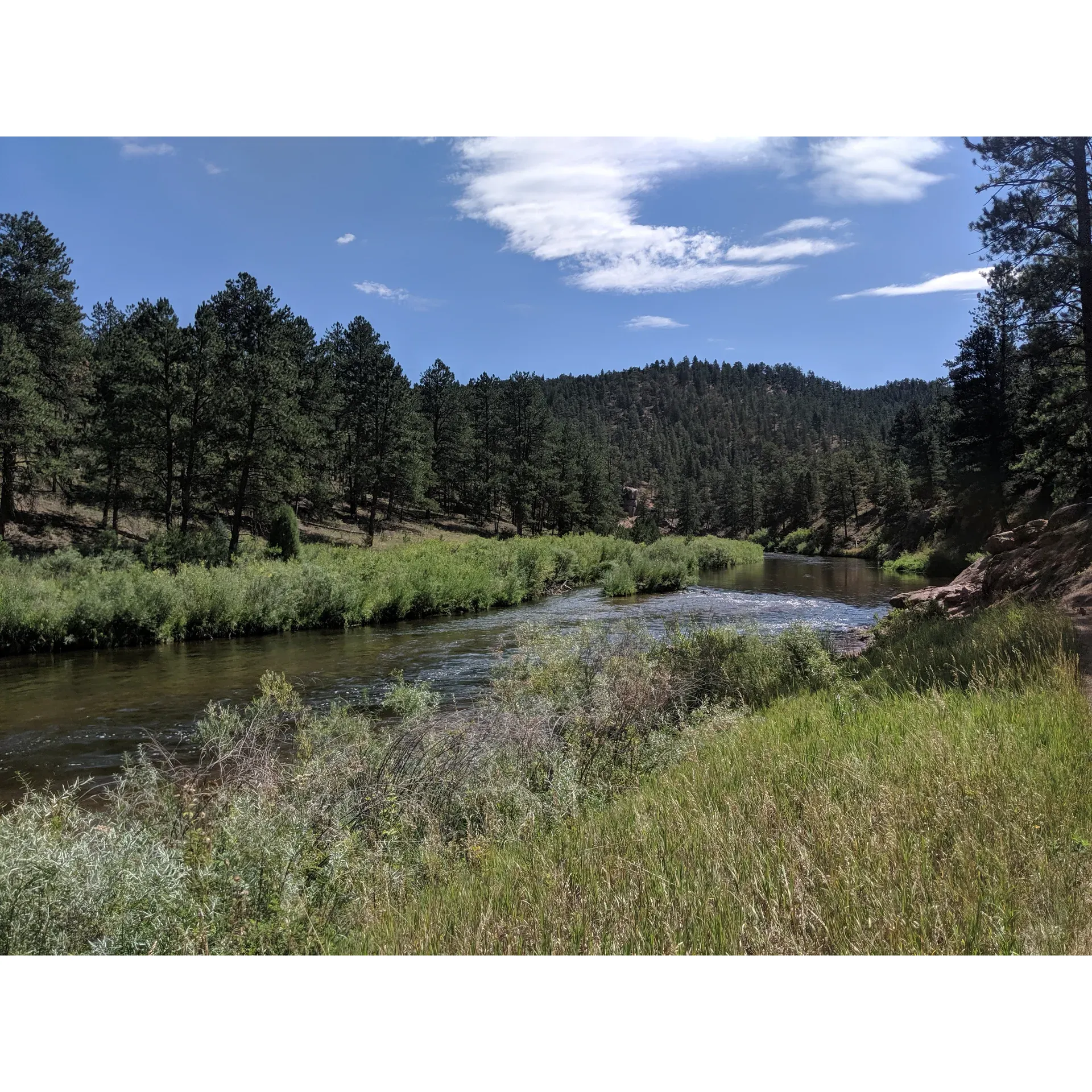 Platte River Campground emerges as an idyllic getaway for outdoor enthusiasts and nature lovers. With an admirable focus on service, Tammy and her husband lead as congenial campground hosts, offering a warm reception to all guests seeking solace by the serene Platte River. Boasting exquisite views that transform with the sunrise, the campground provides an authentic wilderness experience just an hour from Denver, boasting convenience and a sense of escape.

The campground operates on a first-come, first-served basis, encouraging eager explorers to arrive early to secure a spot amidst the gorgeous landscape. The grounds are meticulously maintained, right down to the well-kept restrooms, ensuring a comfortable and clean outdoor experience. Guests are treated to the harmonious blend of conveniences, such as restrooms, grills, and camping sites, paired with an immersion into the abundant wildlife, where sightings of deer and even the occasional moose are delightful possibilities.

Supporting a fly fishing base camp, anglers find the location perfect for pursuing their passion as the friendly and knowledgeable camp host readily shares tips and information to enhance their experience. The amenity-rich site includes an attentive attendant, and although there is a nominal parking fee, the tranquility and beauty of the place offer great value.

Photography enthusiasts and early risers are rewarded with breathtaking views at dawn, especially from the uppermost campsites where one can witness the untouched beauty of nature's landscape. Notably, while the setting is vibrant with the presence of wildlife, the campground is remarkably tranquil with limited noise intrusion from the nearby highway.

The ground, composed of gravel rocks and dirt, lays as a testament to the untouched nature of the site, and while the wildlife includes a variety of ants, they remain respectfully distant from the campers' quarters. The hosts demonstrate an eco-friendly approach, offering firewood for purchase to encourage sustainable practices among visitors.

Overall, Platte River Campground is a splendid choice for those seeking to forge unforgettable memories in the great outdoors, promising a return to nature's embrace with a blend of gracious hospitality and remarkable natural splendor. Whether staying for a short visit or an extended sojourn, this campground is a sanctuary for those seeking relaxation and adventure alike. Description by ChatGPT.