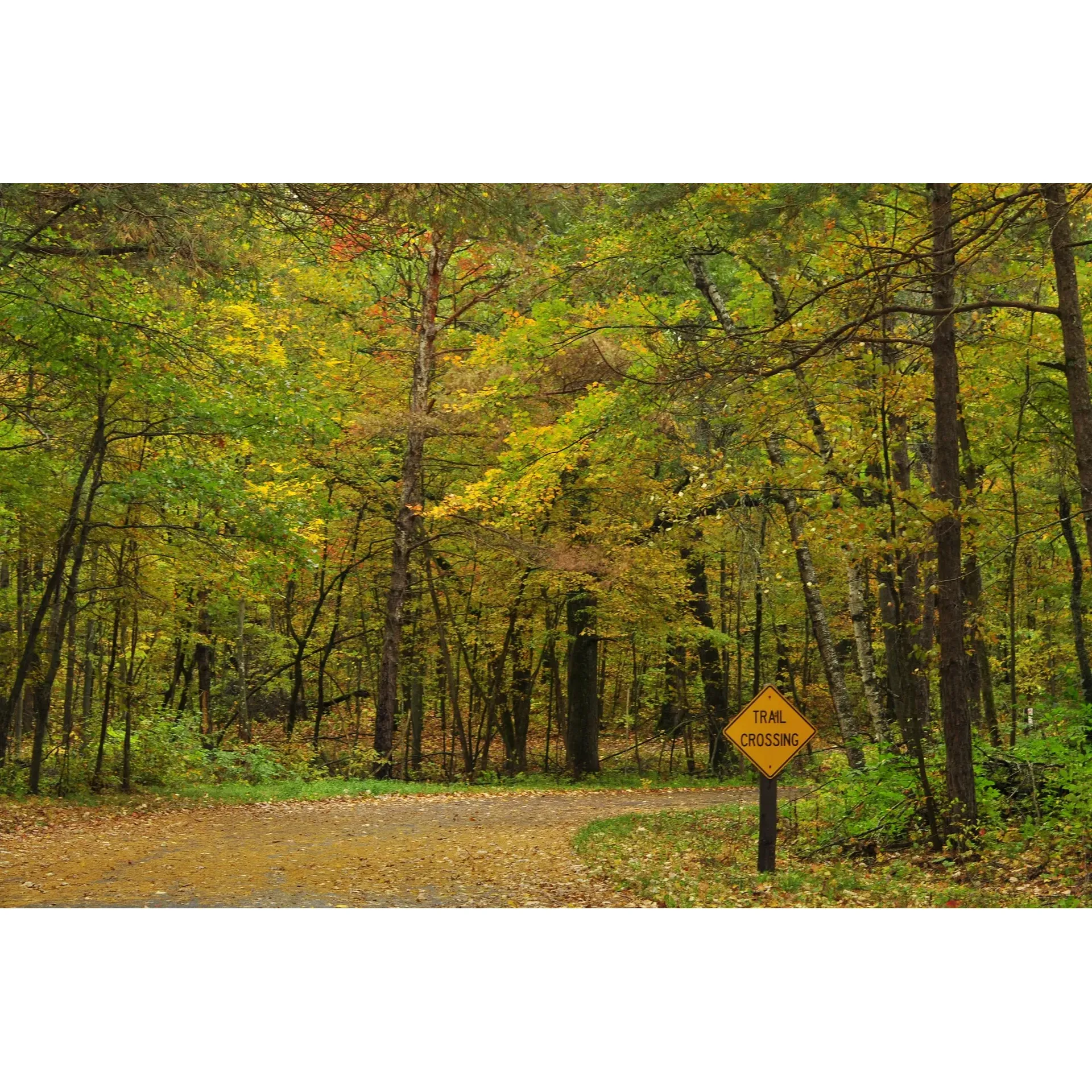 Wild River State Park is an exceptional outdoor destination that offers an abundance of natural beauty and recreational opportunities. A favorite among wildlife enthusiasts, the park provides a sanctuary where one can witness a variety of animals including deer, waterfowl, Bald Eagles, and Trumpeter Swans in their natural habitat. The park's well-maintained trails are perfect for hiking and offer year-round enjoyment, with easy access to a charming sandy beach along the north end for those warmer, sunny days.

Visitors can immerse themselves in the stunning landscapes that unfold along the straight, flat pathway leading to the park's scenic overlook. The overlook provides a breathtaking view of the river, just a short distance from the parking area, encapsulating the beauty of the park without a lengthy hike. The open prairie visible during the drive to the overlook contributes to the park's picturesque setting.

Outdoor enthusiasts will find the park's camper cabins to be a cozy retreat atop the river, promising an even more picturesque experience as the seasons change. The park is also a haven for stargazing, with clear skies offering a perfect canvas for celestial wonders.

For the adventurous, Wild River State Park does not disappoint. Thrilling sightings of bears remind visitors of the wilderness that thrives in the serene surroundings, adding to the excitement while underscoring the importance of respecting and preserving wildlife habitats.

Positioned near Hudson, Wisconsin, the park also boasts spectacular waterfalls, creating a photogenic backdrop for picnics, gatherings, and solo explorations. Facilities such as a beach area complete with playground, bathrooms, and multiple amenities including BBQ areas and benches, make it an ideal spot for group events or a tranquil day out in nature.

Comprehensive amenities such as a visitor center, boat launch, and ample parking ensure convenience, while the invitation to take a dip or swim in the refreshing waters offers respite on a hot day. With the park receiving high praise for its clean, expansive grounds and tranquil atmosphere, it is considered one of the top state parks in the area. Guests are encouraged to pack a lunch, bring water, sunscreen, bug spray, towels, and water shoes to fully indulge in the experience of Wild River State Park. Description by ChatGPT.