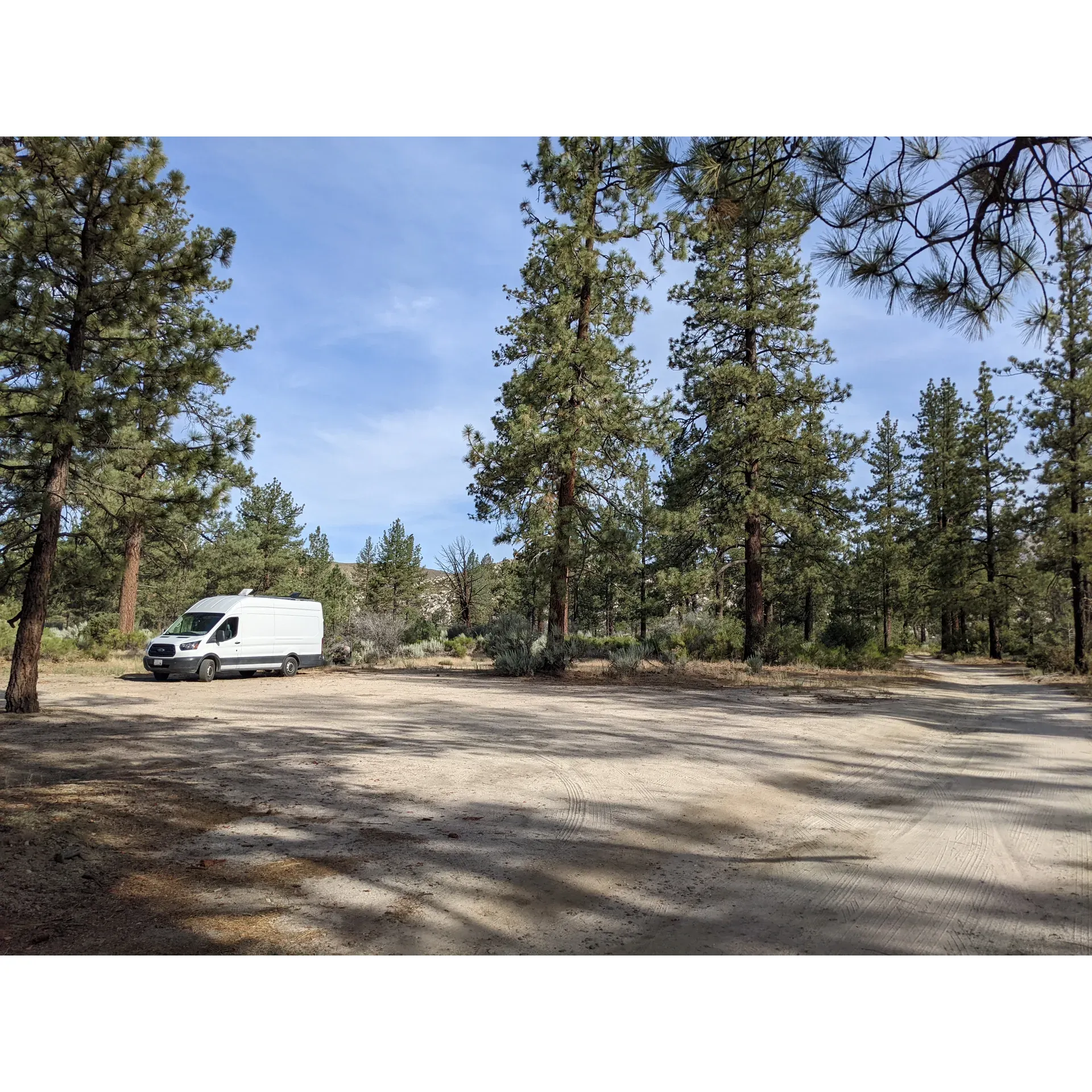 Apple Canyon Yellow Post Camp Site #3 offers a tranquil and picturesque setting for campers seeking a serene retreat in the heart of nature. With a nice paved road leading all the way to the campsite turnoff, the location is easily accessible for any type of vehicle, ensuring a smooth journey for those eager to immerse themselves in the great outdoors.

Campers will be greeted by a peaceful atmosphere where they can soak in scenic vistas that provide a refreshing escape from the hustle and bustle of everyday life. The area is idyllic for those who revel in the joy of being surrounded by the raw beauty of nature, with opportunities to observe and appreciate the local fauna and flora.

The campsite strikes a delightful balance, offering a communal outdoor experience where one can occasionally hear the lively sounds of nearby activities, adding to the sense that you are part of a larger community of nature enthusiasts. It is the perfect spot for those traveling in standard 2WD vehicles as it provides a base without the need for higher clearance transportation and yet still gives access to exploring the wider area.

Campers can anticipate cool and tranquil nights under the stars, making it a perfect haven for those seeking to relax in a cool mountain climate, away from the summer heat. Those preferring an off-the-grid experience will appreciate the lack of cell service, inviting a genuine disconnect and a chance to fully engage with the surrounding natural splendor.

As an eco-conscious campsite, visitors are encouraged to embrace the leave-no-trace philosophy, ensuring that the pristine condition of the landscape remains intact for future guests. With such practices in place, this site fosters a sense of responsibility and respect for the environment.

For those who prioritize sustainable and considerate outdoor activities, Apple Canyon Yellow Post Camp Site #3 offers a stay that aligns with environmental stewardship, urging travelers to take only memories and leave only footsteps behind in this extraordinary forest setting. Description by ChatGPT.