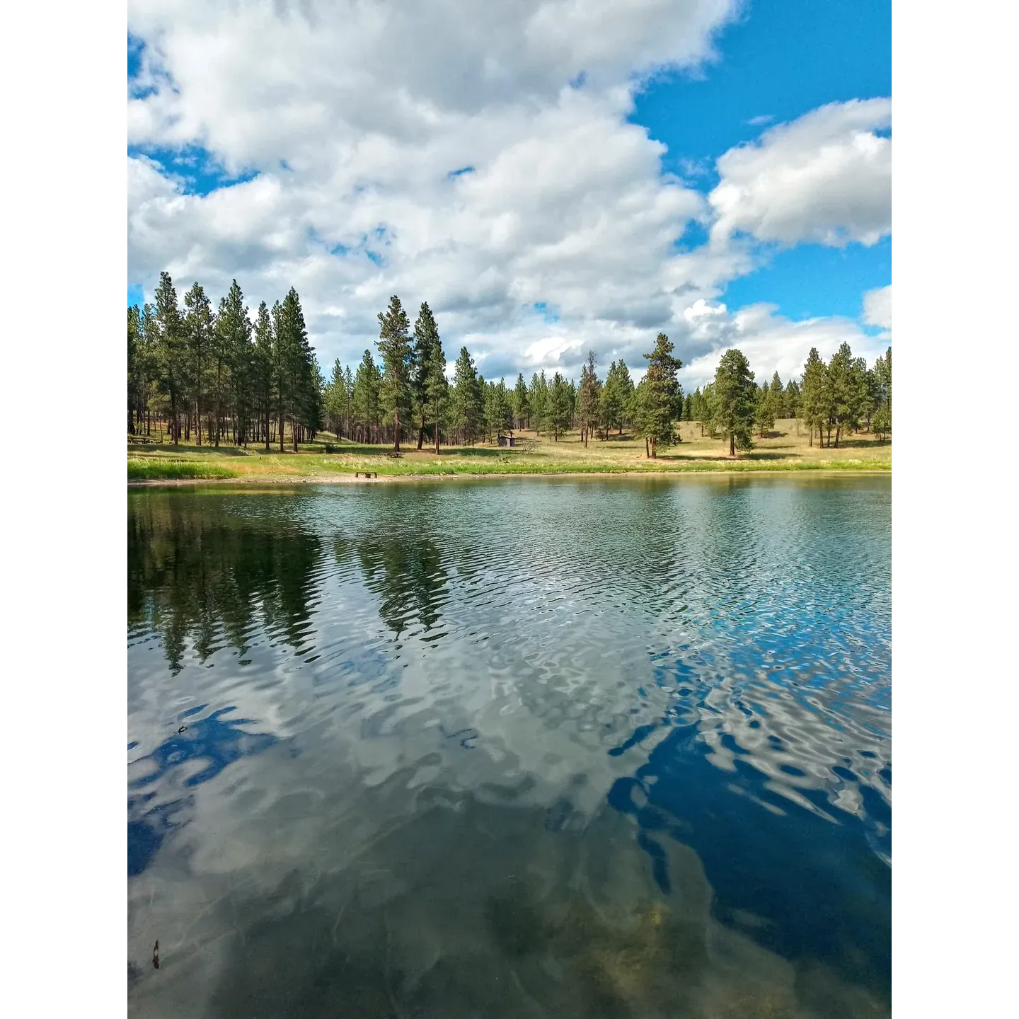 Swisher Lake Campground is your serene getaway to the great outdoors, where the beauty of nature abounds and the simplicity of life can be embraced. This picturesque camping destination offers a harmonious blend of outdoor recreation and peaceful relaxation. It's the perfect spot for nature enthusiasts, with the surrounding Swisher Lake area providing an idyllic setting to revel in the tranquil sights and sounds of the wilderness.

With an extensive network of trails, Swisher Lake Campground is a paradise for equestrians and hikers alike, inviting guests to explore the scenic views and discover the hidden gems of the landscape. Anglers will delight in the small yet fruitful lake within the campground, where fishing is a serene experience, edged by the gentle lapping of water and the opportunity to catch and release a variety of fish.

In close proximity to the larger Lake Koocanusa and the charming Sophie Lake, visitors have ample opportunity to broaden their aquatic adventures or soak in the beauty of another pristine environment. The primitive campground upholds the essence of traditional camping, offering lake beach areas and drop pits centrally located for convenience, ensuring a truly authentic outdoor experience.

Situated a brief journey from the quaint township of Eureka, the campground affords the comfort of nearby services without encroaching on the rustic charm that campers seek. Whether it's for capturing the frequent sightings of local wildlife through your lens or creating lifelong memories under a canopy of stars, Swisher Energy Lake Campground is a choice destination. Here, explorers and families alike can gather, celebrating the joy of the great outdoors and exclaiming, as many have before, that their time spent within this natural haven was extraordinary. Description by ChatGPT.