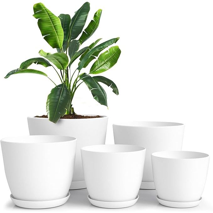 Utopia Home's set of 5 plant pots with drainage are a stylish and practical addition to any indoor plant collection. These white plastic planters come in various sizes: 7, 6.6, 6, 5.3, and 4.8 inches, providing versatility for different plant sizes.