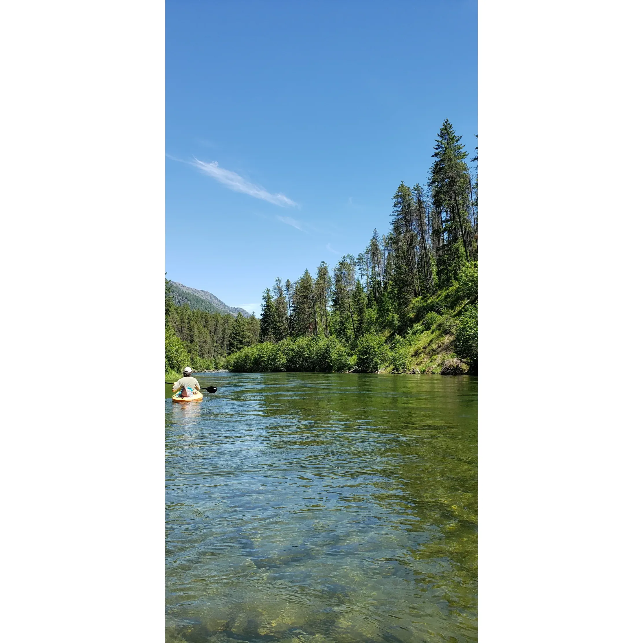 Located within the verdant expanse of Kootenai National Forest, the Bull River Campground offers visitors an exquisite outdoor experience alongside the scenic flow of the Bull River. With its well-maintained landscape and diligent attention to cleanliness, guests can immerse themselves in the tranquility of the park with comfort and ease.

Campers are invited to enjoy the convenience of having river access right at their doorstep. The proximity to the water is not just a boon for anglirc enthusiasts but also provides a picturesque backdrop that complements every camping experience. The Bull River itself is a stage for an array of wildlife, where one may be lucky enough to observe majestic bald eagles soaring and diving for their catch – a nature spectacle you can view while gathered around your campfire.

The campground boasts efficient and friendly camp hosts, alongside facilities that prioritize fundamental needs with regularly cleaned bathrooms – ensuring that the rustic experience of using pit toilets does not detract from the campground's overall charm.

While the pastoral sounds of the wilderness fill the air, the distant hum of traffic along MT 200 is a subtle reminder of the connectivity to nearby conveniences, yet it does little to diminish the serenity of your stay.

Recommended by many who have enjoyed its splendors, Bull River Campground remains a favored escape for those seeking the beauty of Montana's natural landscapes paired with the comforts of a well-cared-for camping environment. It stands as a delightful choice for both seasoned campers and those looking to indulge in the great outdoors. Description by ChatGPT.