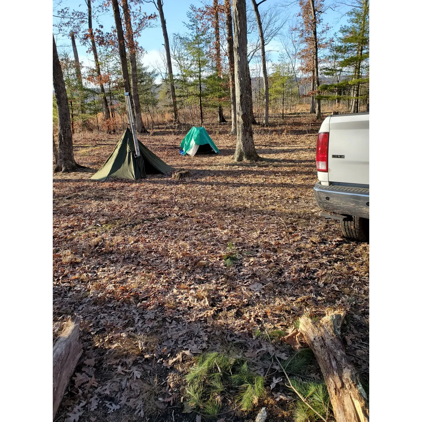 Campsite #5 welcomes visitors with the allure of pristine natural beauty and a prime location ideal for outdoor enthusiasts. Boasting a flat terrain that serves as the perfect foundation for tents and campers alike, the site offers immediate access to a well-trodden trail, serving as a gateway for adventurers who are eager to explore the surrounding wilderness at their own pace. Whether you're looking for a starting point for your daily hikes or simply relish the convenience of trailside camping, this spot caters to your preferences.

Positioned with a breathtaking ridge as its backdrop, Campsite #5 ensures that nature's grandeur is an integral part of your stay. The lush, verdant ambiance encapsulates the essence of escape, allowing guests to immerse themselves in the serenity of the great outdoors. Regular visitors express a deep affection for the campsite, often referring to it as their "home away from home," underscoring the welcoming atmosphere and the profound connection that many have formed with this idyllic slice of wilderness.

Join the community of nature lovers who have found their personal retreat at Campsite #5, where the beauty of the landscape merges seamlessly with the ease of access to outdoor activities, creating an unforgettable camping experience. Description by ChatGPT.