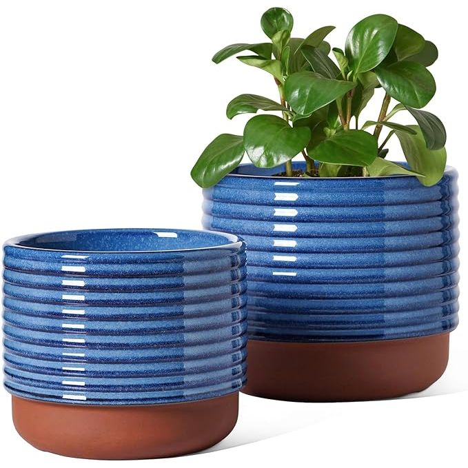 LE TAUCI Plant Pots Indoor are a set of two ceramic pots designed for indoor plant cultivation. The pots come in two sizes, 5.5 and 6.8 inches, making them suitable for a variety of plant sizes. They feature drainage holes to prevent overwatering and promote healthy plant growth.