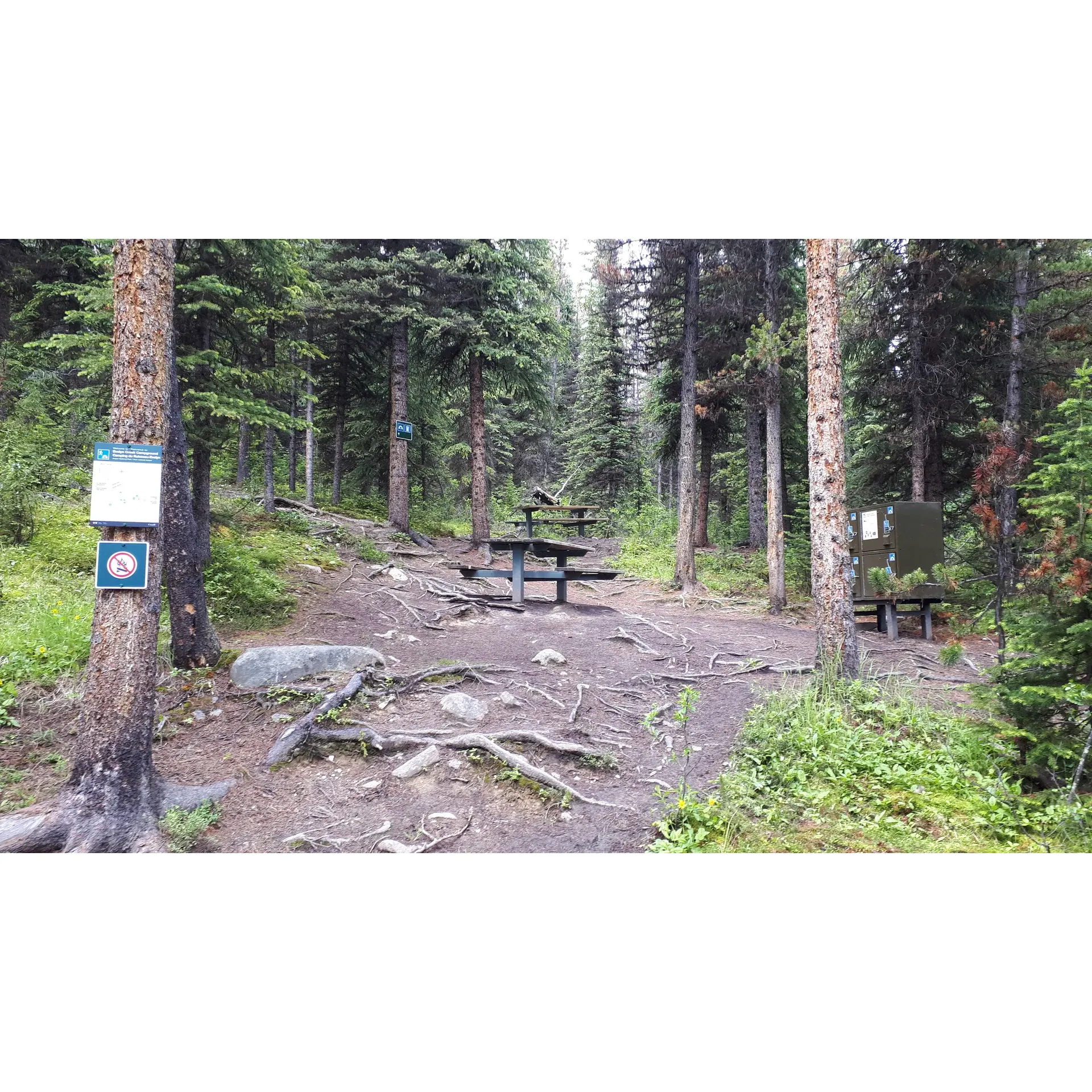 Evelyn Creek Backcountry Campground is a favored destination among hikers looking to immerse themselves in the tranquil wilderness along the famed Skyline Trail. The campground presents an array of beautiful backcountry sites that are thoughtfully spaced to allow for privacy and an intimate connection with nature. Visitors often rave about the purity of the setting, with each site offering its own unique perspective of the surrounding landscape's grandeur.

A key highlight of the campground is the accessibility to a pristine water source, ensuring that hikers can easily replenish their water supplies and enjoy the cool, refreshing mountain water after a day of exploring the trails. This feature is frequently praised for not only its convenience but also for the peace of mind it brings to outdoors enthusiasts who are mindful of their hydration needs during their adventures.

The strategic layout of the campground enhances the overall outdoor experience. Campsites are designed to blend harmoniously with the environment, offering a perfect balance between rustic wilderness living and thoughtful, environmentally-conscious camping provisions. This careful planning ensures that every visitor can enjoy the splendor of the backcountry without sacrificing comfort or the beauty of the natural setting.

Evelyn Creek provides an unforgettable retreat for those who seek a serene escape from the bustle of everyday life. The remarkable setting, combined with the well-maintained facilities, make it an idyllic base for both seasoned hikers and those new to backcountry adventures. Whether one is looking to relish in the solitude of nature, or share memorable moments with fellow trekkers around a cozy campfire, Evelyn Creek Backcountry Campground delivers an exceptional outdoor experience on the Skyline Trail. Description by ChatGPT.