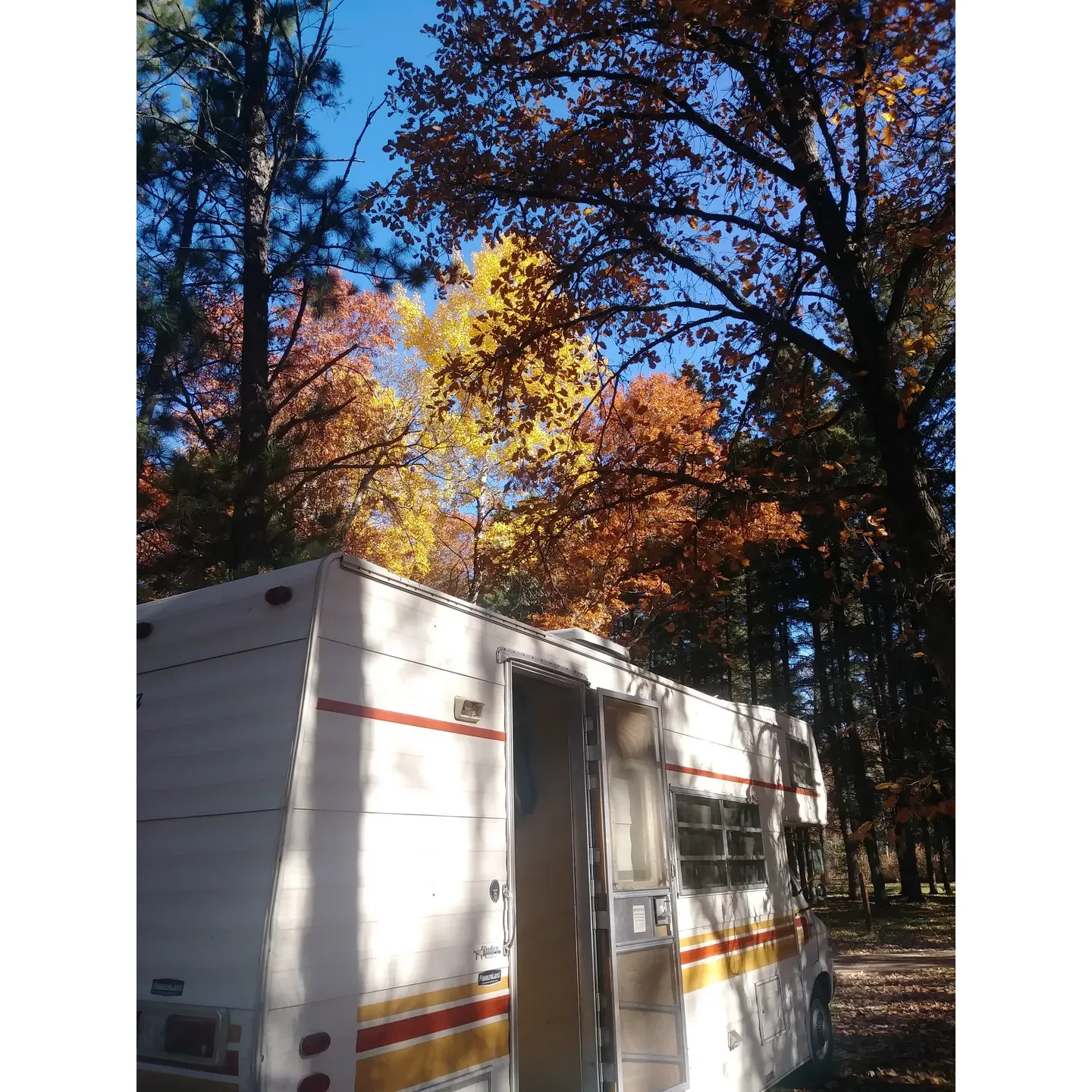 Discover the serene tranquility of Greer Lake Campground, a charming outdoor retreat offering an authentic back-to-nature experience. With its undisturbed lake views and an array of rustic cabins dotting the landscape, this spot is a haven for those looking to escape the hustle and bustle. Although touched by the whims of nature's fury in previous seasons, the campground stands proudly open, inviting adventurers to revel in its revitalized state.

Greer Lake Campground boasts an abundance of natural canopy, providing ample shade for those balmy summer days. Campsites here present a picturesque setting, many with direct access to the water's edge, where the lily-padded shoreline adds to the area's bucolic charm. Four well-maintained vault toilets ensure a comfortable and convenient stay, while the available downed timber serves as a source of firewood for those cozy evening campfires.

For a modest fee, visitors can embrace a sense of community and privacy, with large campsites outfitted with fire rings and picnic tables to enhance their outdoor dining experience. Anglers and boating enthusiasts will appreciate the small boat access and dock, making for easy lake exploration or a tranquil spot to witness sunsets that paint the sky in hues of oranges and purples.

While connectedness to the world may ebb and flow with spotty cell coverage, a sense of seclusion is preserved. The Yodel app offers a simple and convenient site reservation process for the digitally inclined. And for those occasional directionally challenged moments, a minor tussle with digital maps is a small trade-off for the otherwise rewarding journey and great value found upon arrival.

The campground's primal beauty underscores a stripped-back approach to camping, where the understated land serves as an open canvas for the traditionalist looking for that true outdoor feel. For swimmers, the shallow, beckoning waters by the dock provide a refreshing respite during those warm weather months. 

Ultimately, Greer Lake Campground is a picturesque, cost-effective option for those in pursuit of an old-fashioned camping experience, a place where quiet hours are respected, creating an atmosphere where the sounds of nature take center stage. Whether coming together to enjoy the simplicity of the outdoors or seeking solitude among the whispering pines, Greer Lake offers a soulful retreat to all its visitors. Description by ChatGPT.