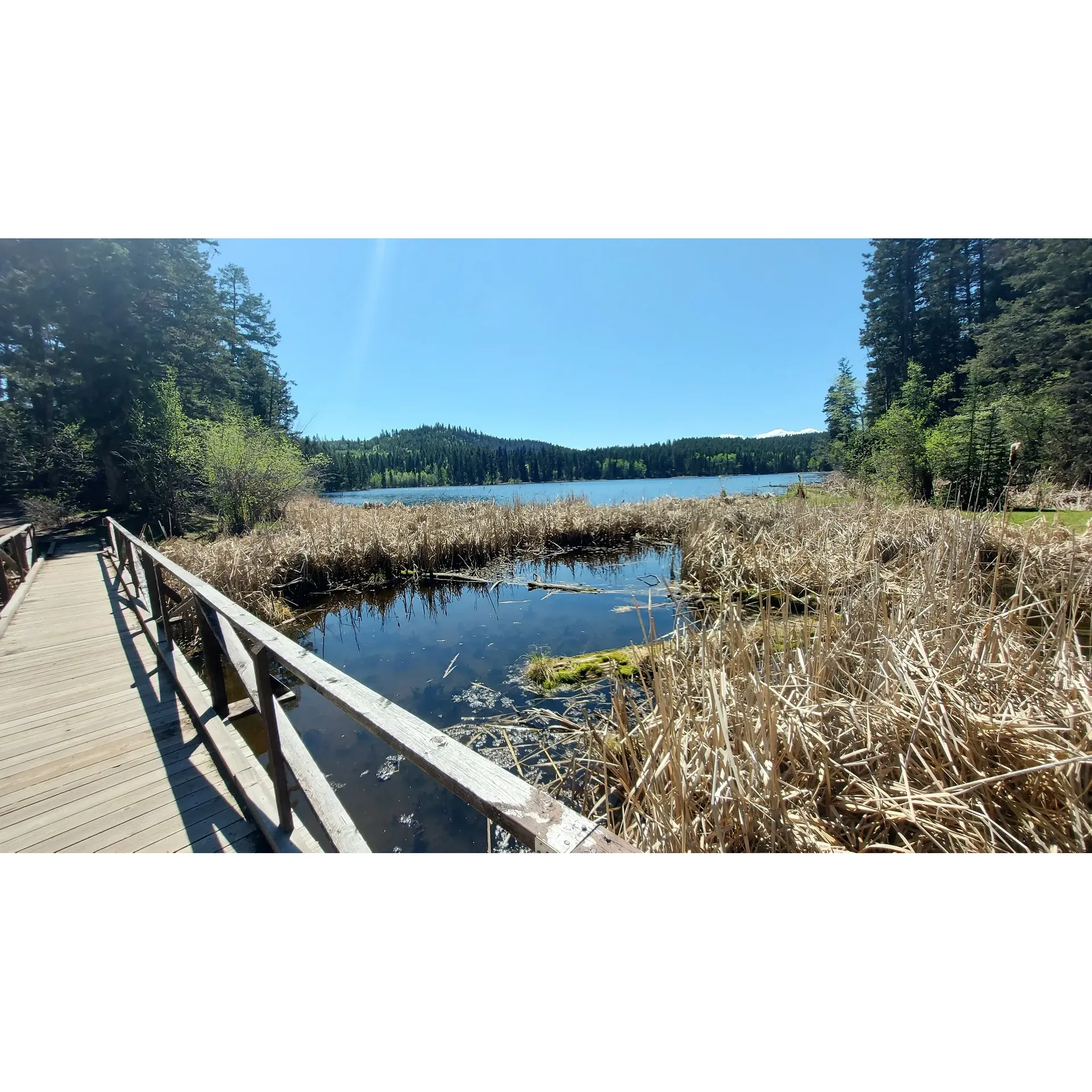 Isobel Lake Recreation Site is a tranquil sanctuary that beckons nature enthusiasts and those seeking a serene escape from the bustling city life. With its glistening waters offering breathtaking views that come alive spectacularly in the early morning light, visitors are sure to find a little piece of paradise here. The site's beauty enchants all who visit, ensuring a picturesque backdrop to a range of leisure activities.

This idyllic destination is perfect for those who appreciate the stillness of untouched landscapes. Regulars rave about the peaceful atmosphere, making it an exceptional choice for solitary reflection or quiet contemplation. Apart from the serene environment, the area is also frequented by friendly hikers and dog walkers, contributing to the warm and welcoming vibe of the recreational site.

Visitors who are drawn to natural beauty will find themselves captivated by the impressive scenery that Isobel Lake Recreation Site has to offer. The untouched wilderness invites adventurers to explore its hidden charms and indulge in its tranquil surroundings. Boasting a prime location that maintains its quiet allure throughout the week, the site is a preferred spot for those looking to disconnect and immerse themselves in the great outdoors.

While it is a haven for peace-seekers and nature lovers alike, Isobel Lake Recreation Site also acknowledges the little ones' need for play. Its recent addition of a children's playground speaks to the site's commitment to catering to families, ensuring that young visitors are not forgotten as they create joyful memories in this picturesque setting.

In essence, Isobel Lake Recreation Site is more than just a natural retreat; it's a community-friendly haven that invites people of all ages to revel in its quietude and outstanding natural beauty. Whether you're gliding on the water at dawn, strolling through the scenic trails, or enjoying a peaceful moment of solitude, the site promises an invigorating and unforgettable outdoor experience. Description by ChatGPT.