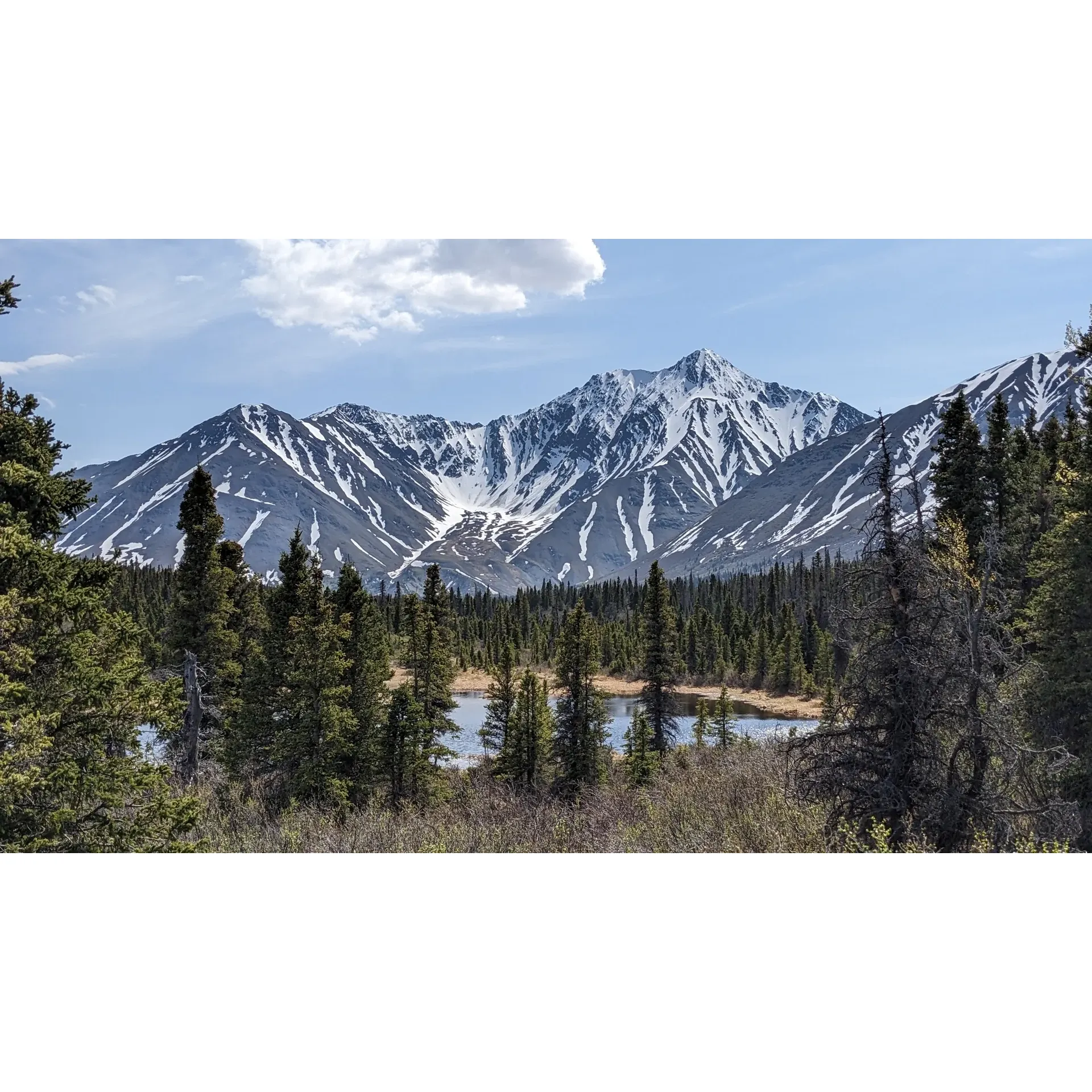 Discover the enchanting splendor of Kluane National Park as you embark upon the Auriol Trail, a magnificent loop that spans nine miles amidst the spellbinding landscapes of the Yukon Territory. Immerse yourself in the heart of Canada’s captivating boreal forests and dive into the splendor of sub-alpine ecosystems, with the majestic Auriol mountain range looming on the horizon. This trail offers an accessible adventure ideal for both the avid hiker and those seeking a leisurely trek through nature’s marvels.

Embrace the serenity of a hike that can be comfortably navigated within four to six hours, promising a complete and satisfying experience without the necessity of an overnight stay. For those drawn to the night's allure, the trail provides options for camping, allowing visitors to slumber beneath the expansive Yukon sky. 

The Auriol Trail presents a journey of contrasts and choices; begin your trek on the left fork for a gentler slope and a smooth walk or challenge yourself on the right fork with its generous offerings of scenic vistas. No matter the path chosen, hikers are treated to idyllic meadows, babbling creeks, and lush wetlands, each adding their own chorus to the symphony of natural beauty.

Traversing the trail reveals well-maintained paths, and even in areas where remnants of snow hint at the enduring wildness, the trail is well-marked and easy to follow. Seasoned by occasional fallen trees that merely add to the rugged charm, the trail serves as an inviting route that weaves through the park’s grandeur. 

Venture clockwise along the loop, and you’ll find the terrain transitioning from the openness of a double-track trail to the more intimate single-track paths as you return. Persistent hiker signs guide the way, ensuring a reassuring presence as you explore this raw untouched wilderness. 

Whether you’re planning a brisk tour without pauses or a leisurely encounter with nature, the Auriol Trail accommodates every pace. Late spring hikes bring crystalline snowscapes paired with invigorating mountain winds, while autumn journeys offer a palette of fall colors and cooler, tranquil air. 

Accessible and enticing, the Auriol Trail at Kluane National Park invites hikers of all levels to step into a world of undisturbed landscapes, captivating panoramas, and the chance to witness the grandeur of the Yukon in all its glory. The trail stands as a picturesque testament to the beauty and adventure awaiting in Canada’s northern wilderness. Description by ChatGPT.