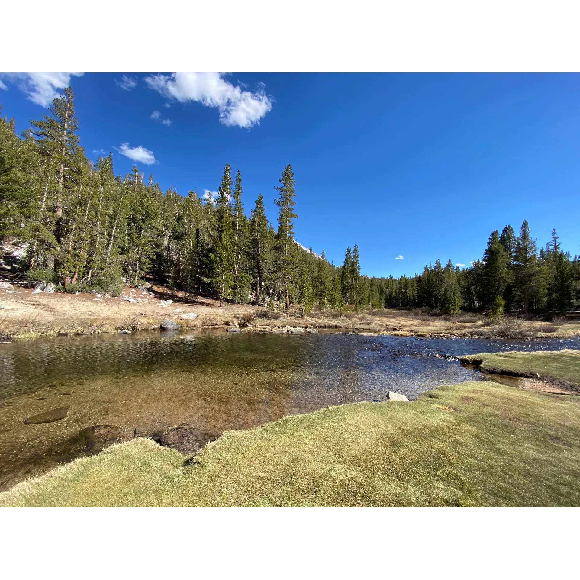 Discover the serene outdoors at Mosquito Flats Walk-in Campground, an idyllic starting point for explorers and nature lovers. This scenic campground offers a harmonious blend of convenience and nature's splendor, with a spacious parking area that opens up to the welcoming trailhead. Families and solo adventurers alike can embark on a journey along the myriad of trails, including the famed Rock Creek trail, that unfold into the wilderness from this very spot.

The winding paths lead you through a mesmerizing landscape brimming with wildflowers, alongside a gently babbling creek, rewarding hikers with the chance to witness a variety of stunning lakes perfect for a tranquil picnic or an afternoon of fishing. The trails here present an adaptable hiking experience; whether you're seeking a brief, refreshing walk or an extensive trek up to 10 miles long, you'll find the trail's gradient is gentle – although the high elevation might surprise you with a challenging yet invigorating aerobic test.

With easy accessibility to these beautiful trails, you'll be greeted each morning by the crisp mountain air and the potential for an enchanting hike with breathtaking views at every turn. The family-friendly terrain ensures that even younger explorers can participate in the adventure, while bear lockers at the trailhead promote safety and peace of mind.

After a fulfilling day of exploration, you can retire to the nearby resort, where indulgent rewards like a slice of pie await, providing the perfect endnote to your day's journey. Whether you choose to enjoy the comfort of the resort or embrace the solitude of the wilderness with an overnight stay (for which a permit is required), Mosquito Flats Walk-in Campground offers an unparalleled experience for those who are passionate about embracing the majestic beauty of the great outdoors. Description by ChatGPT.