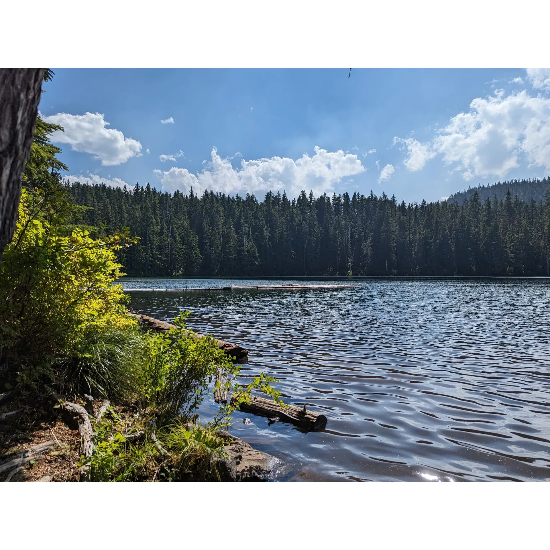 Hideaway Lake Campground offers a serene and scenic retreat for nature enthusiasts and outdoor adventurers alike. With its idyllic setting by a picturesque lake, visitors can soak in the beauty of their surroundings and find peace in the tranquil atmosphere. The campground affords guests the opportunity to secure a spot on a first-come, first-served basis, giving them the flexibility to spontaneously immerse themselves in the wilderness without the need for prior reservations.

Travelers can expect to find ample space to settle in, with large and spacious areas available for camping. Each site is equipped with convenient amenities such as picnic tables and fire pits, adding to the comfort of your outdoor experience. The campground's close proximity to the lake allows for easy access to a range of recreational activities. Enjoy the thrill of catching big crawdads, or spend your day kayaking, canoeing, and fishing in the calm waters.

Cleanliness and respect for nature are held in high regard at Hideaway Lake Campground, ensuring a pristine environment for all guests. The site maintains cleanliness standards and provides restrooms for convenience. Visitors are encouraged to embrace the 'pack in, pack out' principle to preserve the natural splendor of the area.

For those seeking solitude, the campground offers an amazing secluded experience where one can relax and hang out surrounded by the allure of nature. Immerse yourself in the beautiful landscapes, and take advantage of the well-maintained trails that meander through awe-inspiring old-growth forests. The journey to this remote paradise involves a rugged gravel road, adding to the adventure and seclusion of your camping experience.

Hideaway Lake Campground presents an escape from the busyness of everyday life and an invitation to reconnect with nature in a truly beautiful setting. Whether you're seeking a quiet weekend retreat, a chance to fish for the catch of the day, or just longing to bask in the splendor of the great outdoors, Hideaway Lake Campground is a destination that combines the best of tranquility, natural beauty, and outdoor recreation. Description by ChatGPT.