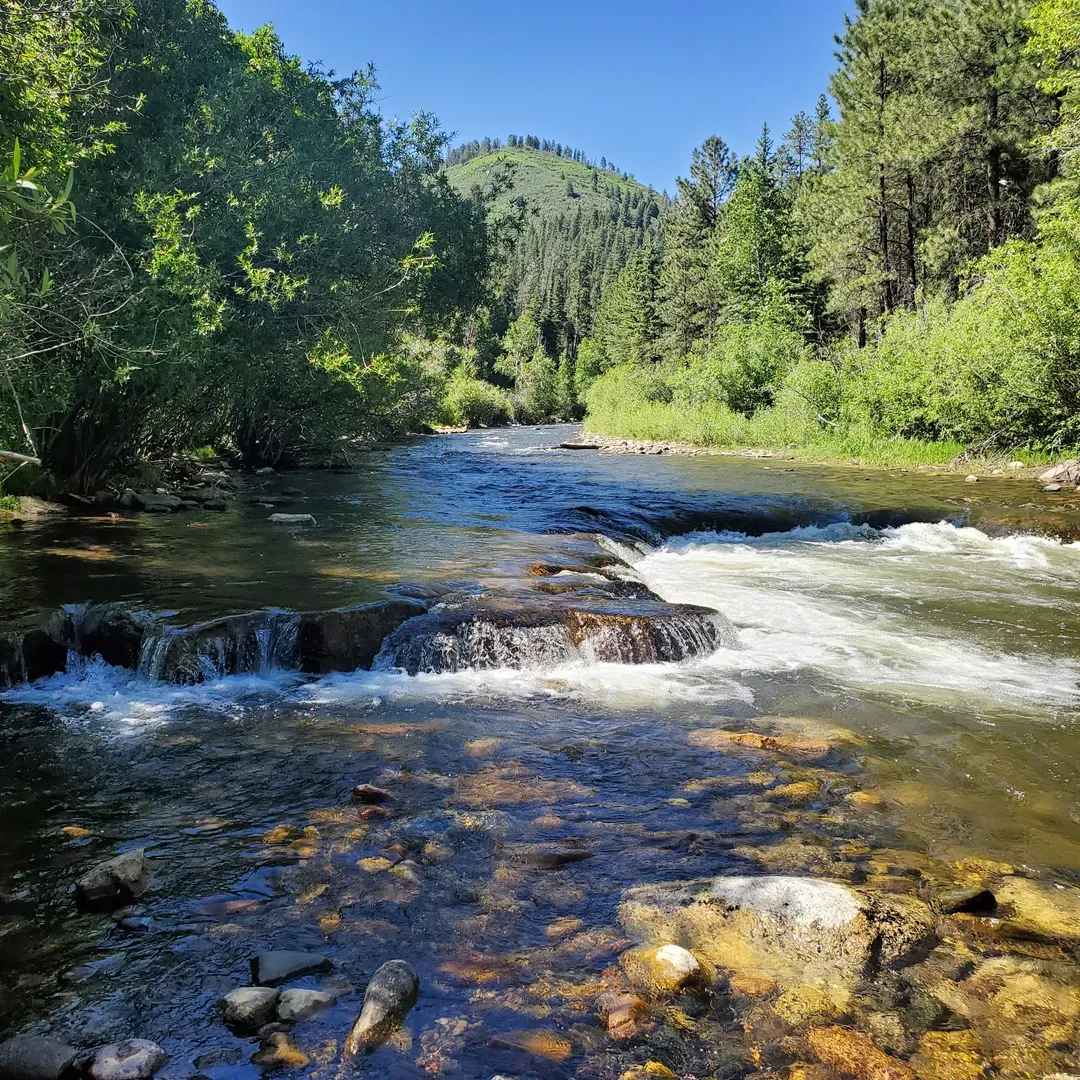 Bert Clancy Campground offers an outdoors enthusiast a serene escape with its prime location by the river, perfect for those who find solace in the sounds of flowing water and the charm of the wilderness. Renowned for its accessibility, the campground operates on a first-come, first-serve basis, making spontaneous escapes into nature a breeze for visitors.

The campground is a favored spot for anglers, boasting a well-maintained area along the Pecos River with a healthy flow that local brown trout call home. The picturesque landscape provides a tranquil getaway for fishing enthusiasts to immerse themselves in their passion.

Visitors appreciate that the Campground's amenities, while minimal, include essential facilities such as vault toilets and fire pits, contributing to an authentic camping experience. Moreover, its restroom facilities are maintained diligently to ensure cleanliness and comfort for guests. The open layout of the sites encourages a communal atmosphere where campers can easily connect with fellow nature lovers.

For those arriving with RVs or campers, the campground offers elongated sites, although it's worth noting that they may require level kits due to their slight elevation. The proximity to the road requires attentiveness for those with kids or pets but also provides easy access to the campsite.

While connectivity to the outside world can be limited due to a lack of cellphone service, this feature is seen by many as an opportunity to truly disconnect and immerse oneself in the beauty of nature and the company of loved ones.

Overall, Bert Clancy Campground is a hidden gem for those seeking a pure and simple outdoor experience, highlighted by the beauty of the river, the joy of fishing, and the pleasure of a clean, well-maintained natural environment. Description by ChatGPT.