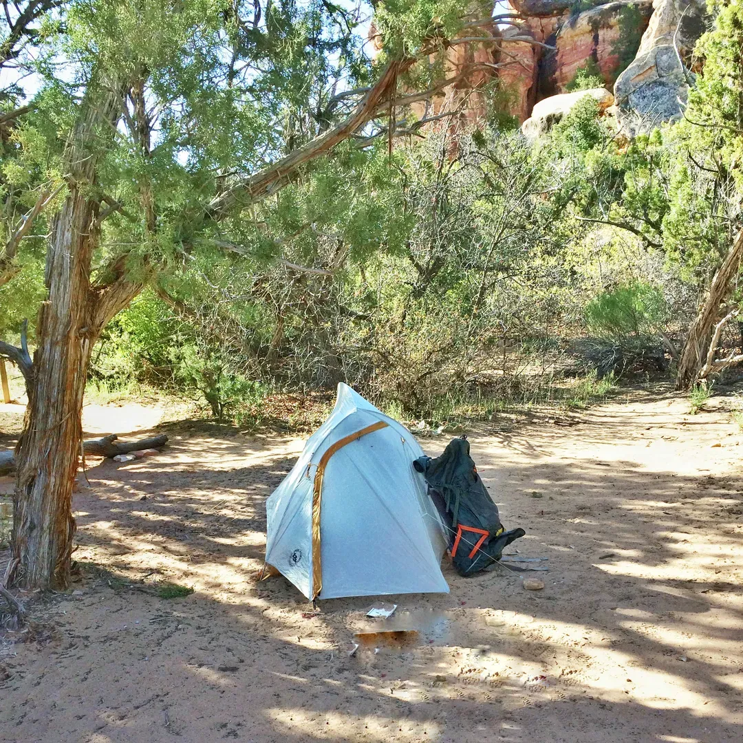 WS1 Campground offers a cherished first stop on the scenic Squaw Flat Canyon trail, providing an exceptional backcountry camping experience. A sought-after destination for adventurers seeking an overnight stay amidst raw nature, this campground requires a permit, ensuring a well-regulated and serene environment. Campers are encouraged to secure their spot through a straightforward online reservation system or by visiting the nearby visitor's center.

The campground is renowned for its awe-inspiring views that promise to elevate any camping trip. Its prime location grants easy access to a nearby creek, where adventurers can replenish their water supplies, with the understanding that treatment is necessary before consumption, as the water is not potable. This adds an authentic touch to the camping experience as visitors harmonize with the land's natural resources.

While the site is known for its mild exposure to the elements, providing an invigorating sense of openness, campers are pleasantly surprised by its resilience to wind, giving them a comfortable reprieve after a day of exploring. WS1 Campground maintains a strong commitment to preserving the natural beauty and delicate balance of the surrounding environment; therefore, ground fires are not permitted. This policy not only protects the area but also encourages visitors to engage with more eco-friendly forms of heating and cooking, enhancing the overall outdoor experience.

Whether you're an avid trekker ending your day under the stars or a nature enthusiast seeking tranquility, WS1 Campground delivers a perfect blend of convenience, adventure, and spectacular natural beauty, making it a top choice for an unforgettable camping adventure in the heart of Canyonlands. Description by ChatGPT.