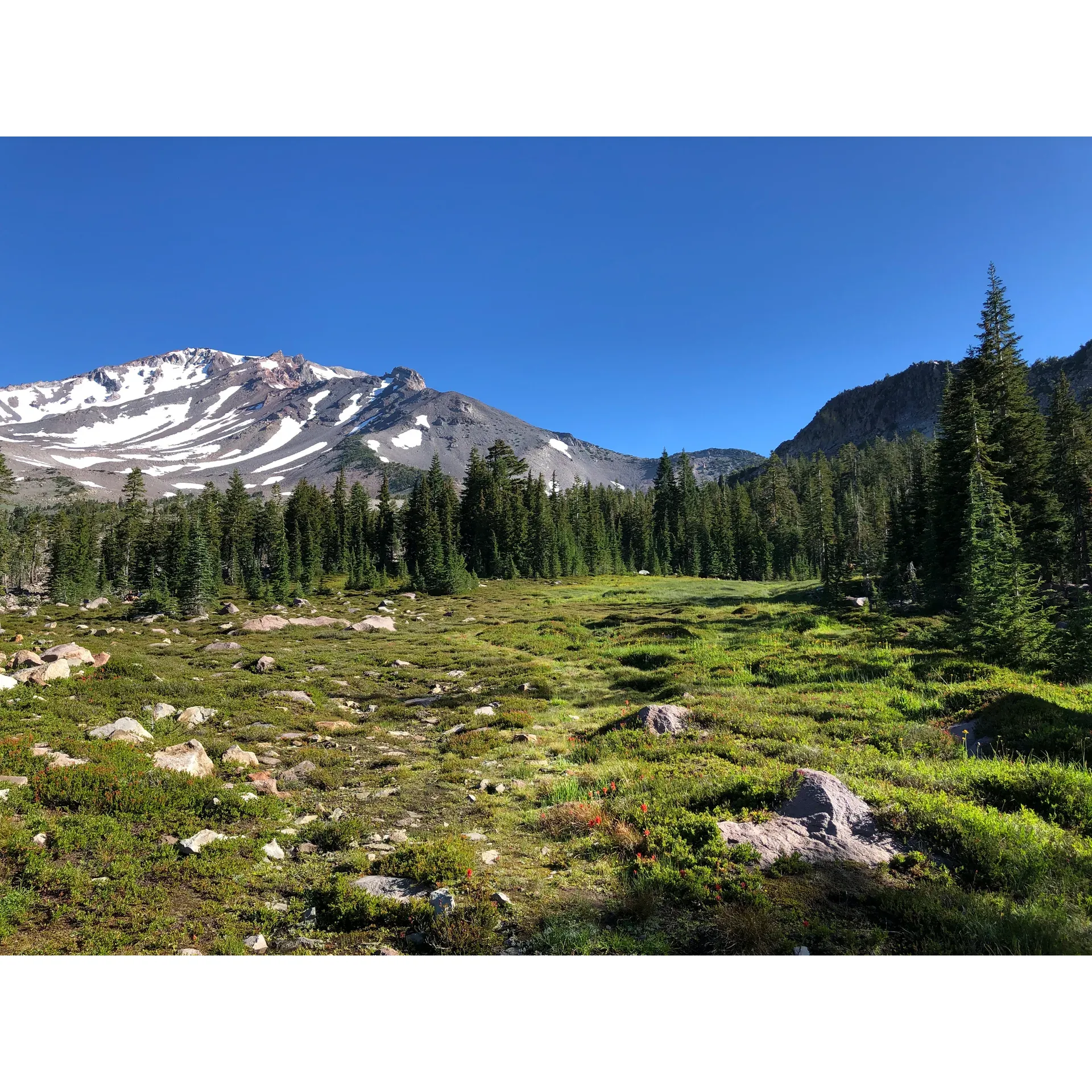 Panther Meadow Campground presents an exceptional outdoor experience for adventurers and nature lovers alike. This high-altitude campground provides the perfect base for those looking to explore the majestic Mount Shasta. With a convenient location close to the old ski bowl trailhead, guests appreciate the ease of access to various hiking opportunities, including the challenging ascent to Mount Shasta's peak for early morning trekkers.

Embrace the simplicity and serenity of nature, as this campground operates on a first-come, first-served basis, eliminating the need for reservations. Its 15 walk-in sites offer a relatively private and intimate setting for camping, surrounded by the rugged beauty of the landscape. While the amenities are minimal, maintaining an authentic connection with nature, there is a communal bathroom available for guests' convenience. 

Visitors can enjoy the splendor of all seasons here. The campground transforms into a winter wonderland, complete with a pristine blanket of snow — a surreal setting for those desiring to admire the area's enchanting wintry charm. When the snow melts, the meadow's lush greenery comes to life, revealing an idyllic spot for scenic walks and relaxation.

Water is sourced directly from a beautiful mountain stream just a few minutes’ walk away, where adventurers can relish the refreshing and drinkable natural water. Although there are no established fire pits or restrooms at each site, a short 0.5-mile drive downhill provides such facilities near Bunny Flat Trailhead. The common parking area is spacious, accommodating the needs of campers and their vehicles.

Campers here often share a profound appreciation for both the environment and each other, creating a community of friendly and respectful individuals. Whether sharing stories under the bright, star-filled sky at an elevation of 7,500 feet or simply enjoying the tranquility, the camaraderie among guests is palpable.

Adding to the allure, Panther Meadow Campground is celebrated as not only a place for peaceful overnight stays but also as a locale where beautiful souls and lifelong friendships are often discovered, enhancing the overall experience. Visitors leave with a sense of contentment, carrying memories of a landscape touched with natural wonder and positive human connection. Description by ChatGPT.