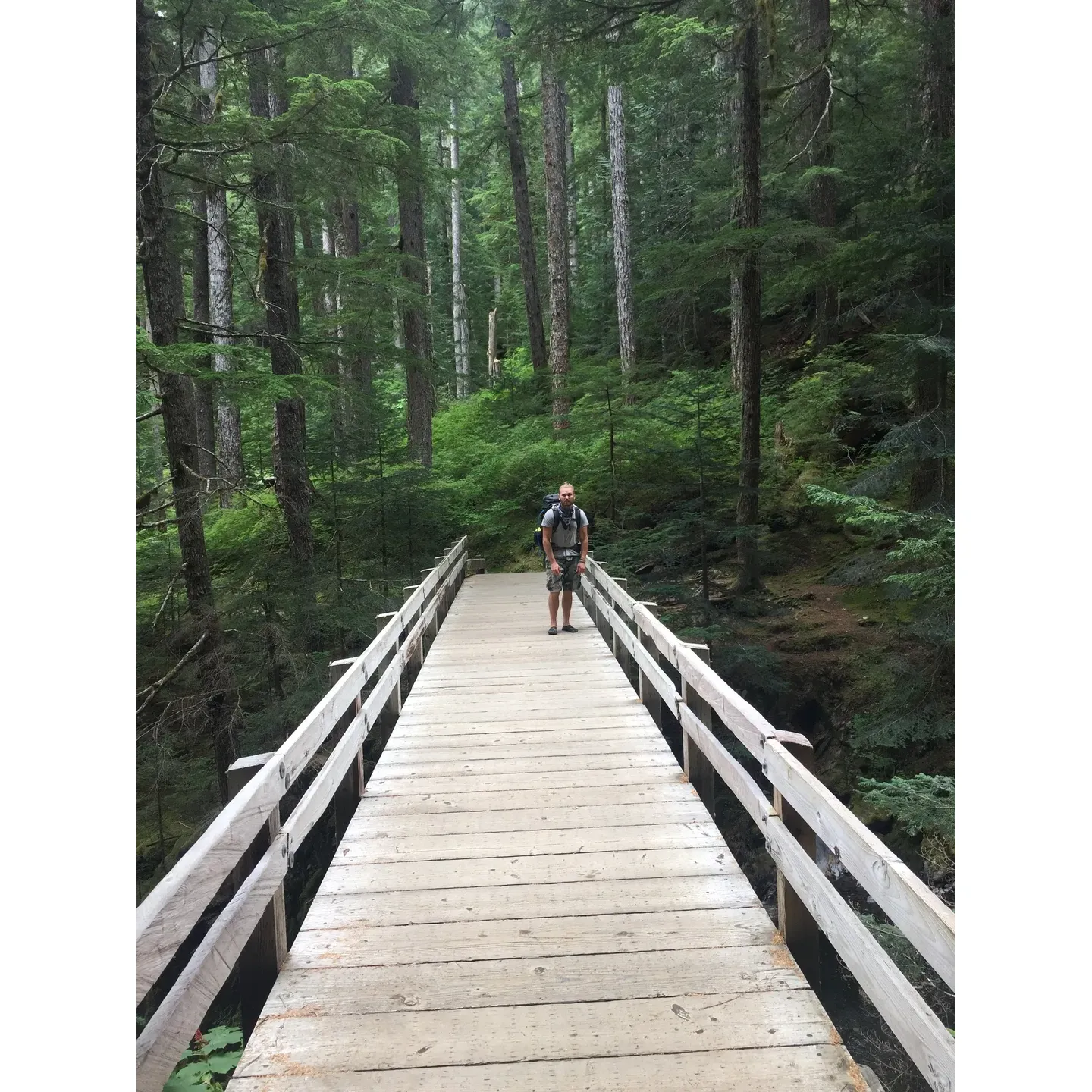 Upper Sol Duc Bridge offers an awe-inspiring gateway to the natural beauty that this region is famous for. As a highlight for many outdoor enthusiasts, this charming bridge is often praised for its scenic views and the exceptional experience it provides. Visitors are captivated by the lush surroundings and the serene ambiance of the forest that embraces the structure, making it a perfect spot for those eager to immerse themselves in nature.

Hikers who embark on the journey through this picturesque landscape often find themselves marveling at the rugged beauty of the area, with the Upper Sol Duc Bridge serving as a remarkable landmark on their adventure. The bridge stands as a testament to the majesty of the Pacific Northwest, offering an unparalleled vantage point for breathtaking photo opportunities and moments of quiet reflection.

Whether you're an avid hiker, a casual nature lover, or simply someone looking for a memorable escape into the wilderness, the Upper Sol Duc Bridge is a must-visit destination. Its charm and natural splendor are consistently celebrated by those who traverse its path, making it a truly enchanting experience for all who have the privilege to explore this unique piece of the great outdoors. Description by ChatGPT.