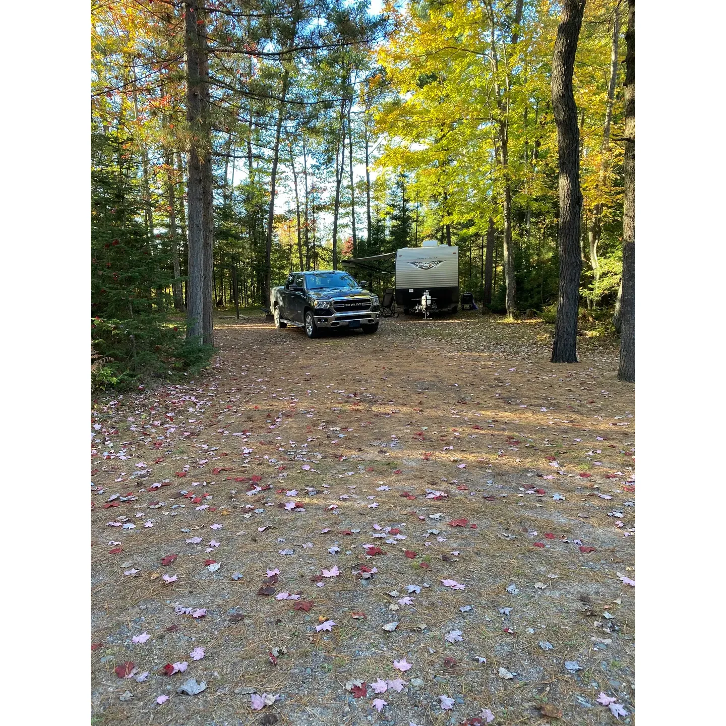 Sparrow Rapids Campground offers visitors an idyllic retreat into nature, providing an intimate experience with just six well-appointed campsites. Each site is artfully separated by natural tree barriers to ensure privacy while fostering a serene environment. Outdoor enthusiasts can revel in the soothing ambiance created by the nearby rapids, especially from the coveted site six, where the rhythmic melody of flowing water enhances the camping experience.

This tranquil oasis is an excellent destination for those looking to unplug, yet it still affords the modern convenience of solid cellular connectivity, allowing guests to easily research local attractions and hiking trails. The campground boasts impeccably maintained pit toilets, ensuring a comfortable and clean stay.

The lush setting of Sparrow Rapids Campground offers prime access to the river for sites one through three. Here, campers can unwind to the harmonious sounds of nearby water, a natural lullaby that ensures a peaceful night's sleep. Visitors also appreciate the ample space available, making it suitable for larger camping setups and providing a sense of openness amidst the forest canopy.

Accessibility to the campground is a part of the adventure, with a gravel road leading you to your retreat among the trees. Whether you're enjoying the splendid weather, exploring riverfront sites, or taking delight in the absence of pesky bugs, Sparrow Rapids Campground is the perfect sanctuary for a serene getaway, surrounded by the beauty and gentle whispers of nature. Description by ChatGPT.