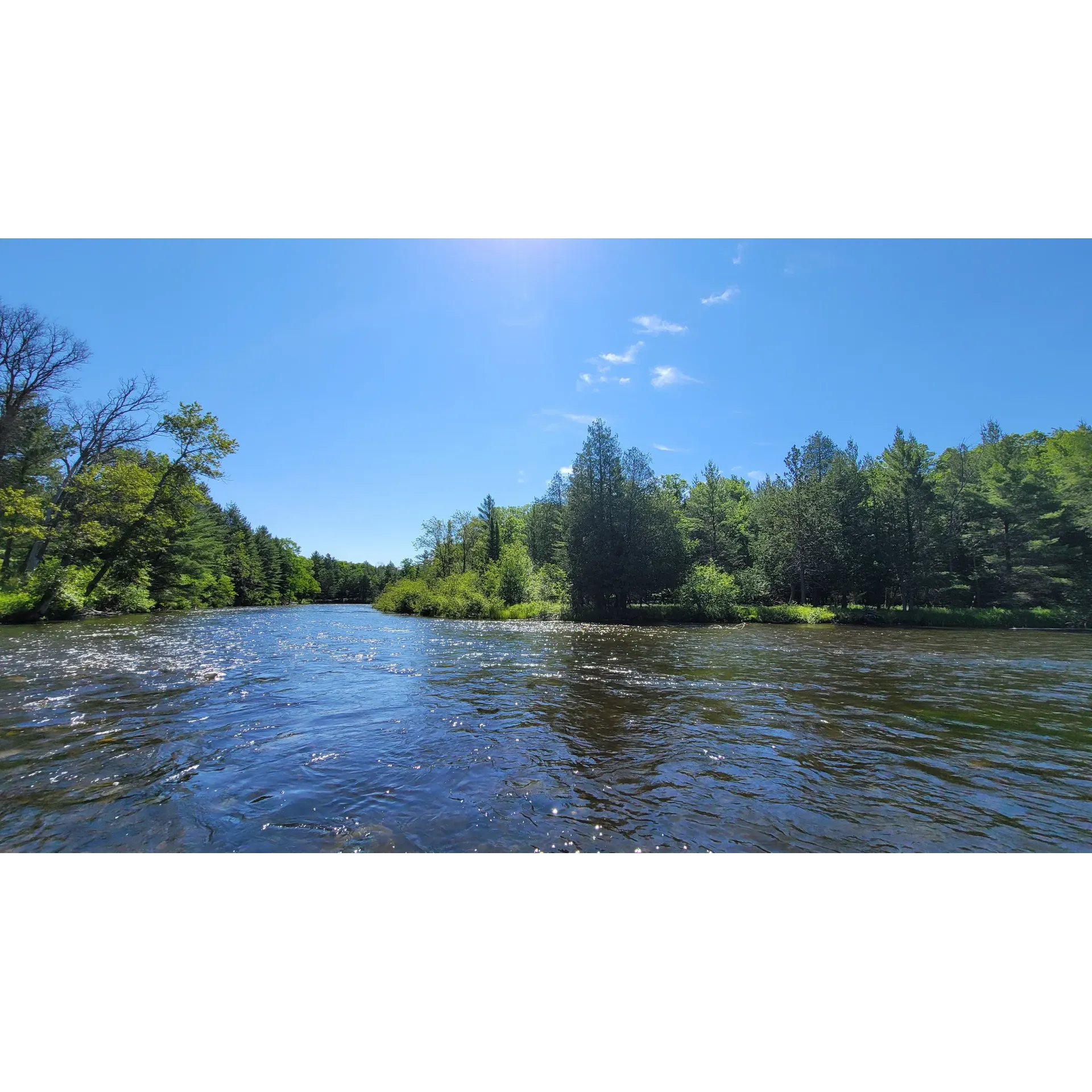 Rainbow Bend State Forest Campground offers an authentic outdoor experience for campers seeking to immerse themselves in the serenity of nature. This secluded haven, set along the river, offers spacious campsites providing ample room for campers to set up their tents and enjoy the scenic surroundings. The simplicity of the campground is its charm, with straightforward amenities that encourage visitors to disconnect from modern conveniences and reconnect with the great outdoors.

Visitors can look forward to tranquil paddle times on the river's quick-moving current, where fishing enthusiasts cast their lines and kayakers glide by. Sturdy picnic tables and durable metal and concrete fire pits provided at each site add to the rustic feel while ensuring comfort and safety for those evening campfires under starlit skies. Campers may be delighted by the natural wildlife symphony, with the hooting of owlets echoing amidst the trees, enhancing the sense of wilderness adventure.

With its prime location a reasonable distance from Ann Arbor, the campground remains a treasured retreat for those looking to relax and have fun while surrounded by nature. The first-come, first-serve policy ensures exclusivity and tranquility, creating an intimate atmosphere where one can have serene encounters with the local fauna without the interruption of crowds.

Guests are advised to approach the campground via Connors Flat Road, where direct access to Rainbow Bend awaits—one mile down the road with a left turn into the campground, bypassing any navigation errors. While the spots by the river are not directly accessible by car and require a bit of a walk to reach the campsites, the extra effort is rewarded with a true sense of wilderness escape, especially for those arriving by kayak or canoe.

Rainbow Bend State Forest Campground is a haven for those who appreciate the simple, unadulterated joys of camping. It is a genuine escape into nature, where one can find peace, adventure, and the joy of the outdoors in a secluded, scenic setting. Description by ChatGPT.