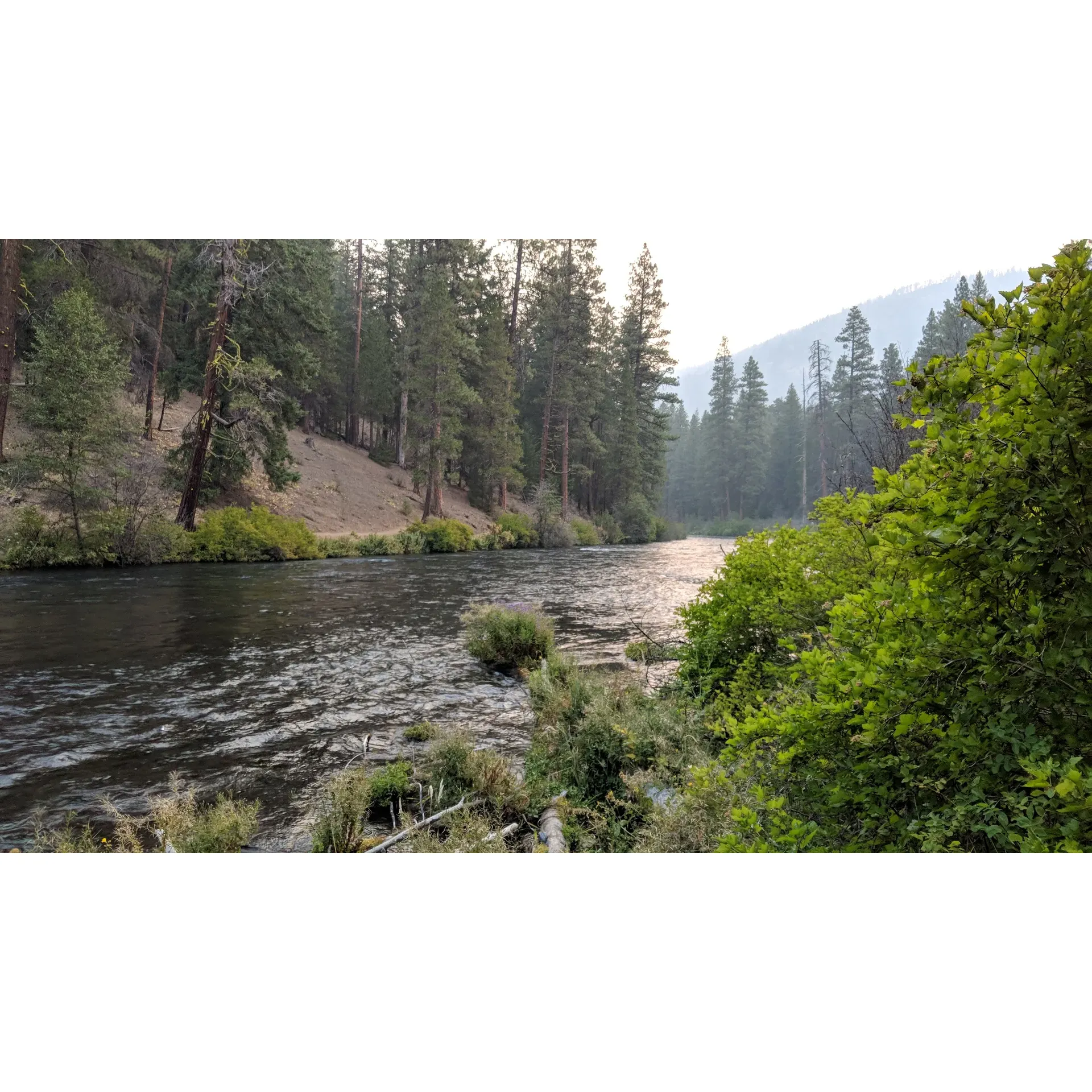 Pioneer Ford Campground offers an authentic Central Oregon outdoor experience with its scenic landscapes and a variety of recreational activities. This idyllic retreat is sought after by many for its prime summer weekend spots, so securing a reservation is highly recommended to ensure you can immerse yourself in the beauty and tranquility it provides.

This serene destination is a paradise for nature enthusiasts, offering a chance to witness the vibrant local wildlife in action, right from the comforts of your campsite. It's not uncommon for guests to enjoy surprise visits from the area's playful forest creatures such as chipmunks and the occasional curious weasel, providing a delightful spectacle and unique memories.

Surrounded by nature's unmatched quietude, Pioneer Ford Campground is conveniently located away from the hustle and bustle, making it a peaceful haven for those looking to unwind. Despite its off-the-grid vibe, the campground offers plenty of activities. Visitors can explore the local area which is rich with opportunities for adventure and exploration.

Embracing the scenic views along the river, the camping spots are well-spaced, ensuring privacy and room to relax. With running water on-site and well-maintained pit toilets, the campground provides a comfortable and clean setting for campers. For those looking to stretch their legs, a selection of hiking trails awaits just at the edge of the loop road.

In terms of hospitality, the campground is known for its amiable camp host who adds a personal touch to the camping experience, ensuring guests feel welcome throughout their stay.

Pioneer Ford Campground truly embodies the spirit of outdoor living, combining the solace of the wilderness with the conveniences that make for a delightful and hassle-free camping trip. Whether you're looking to connect with nature, embark on hiking adventures, or simply relax by the river, this campground is an excellent choice for your next outdoor getaway. Description by ChatGPT.