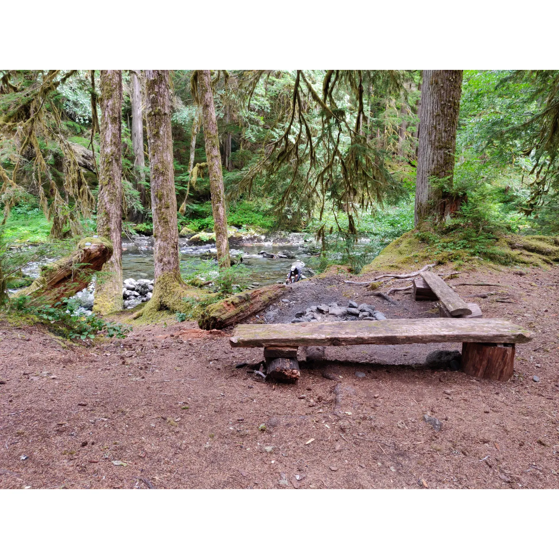 Ten Mile Camp on the Duckabush River trail offers a serene escape into nature, providing an ideal spot for adventurers seeking to unwind after a day of exploration. This delightful campsite presents a selection of spots equipped with both seating and fire rings, perfect for gathering around a crackling fire under the starlit sky. Visitors can enjoy the ambient sounds of the flowing Duckabush River, which adds to the camp's picturesque charm.

Surrounded by the majesty of towering trees within the verdant forest, Ten Mile Camp delivers an authentic outdoor experience. The ample natural beauty invites campers to embrace the peace and tranquility of the wilderness. The journey to Ten Mile Camp is an 11-mile trek from the trailhead, offering hikers a chance to fully immerse themselves in the splendor of the surrounding landscape, making their stay at the site truly rewarding. Whether you’re here to disconnect and relax or to partake in the various outdoor activities, Ten Mile Camp is a fantastic campsite that captures the essence of the great outdoors. Description by ChatGPT.