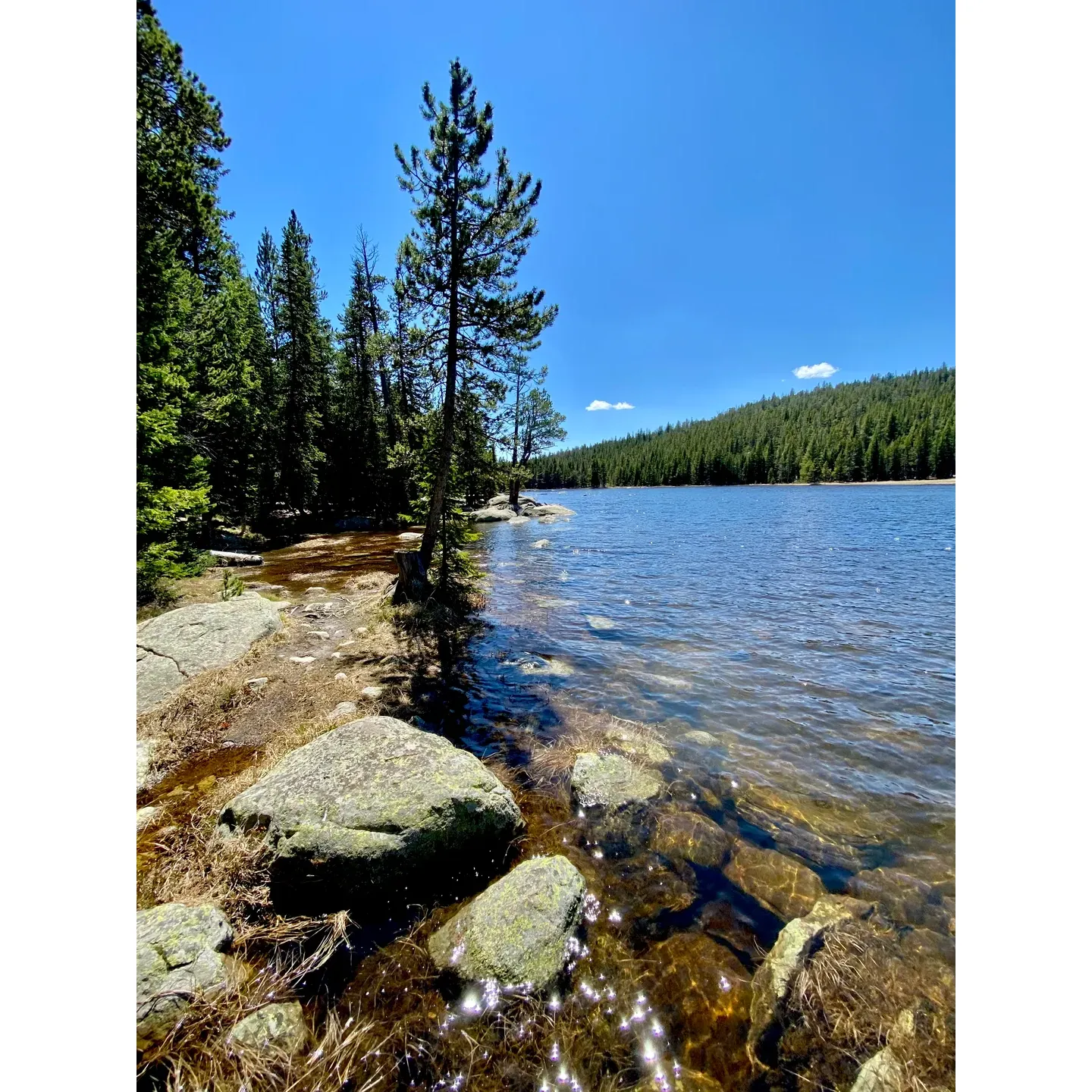 Situated at an invigorating altitude of 9000 feet, West Tensleep Campground offers a serene atmosphere for campers seeking a tranquil retreat in the embrace of nature. This idyllic destination ensures a stay marked by cleanliness and order, especially highlighted by well-maintained bathroom facilities that set a high standard for restrooms of its kind.

The tranquility of the campground flourishes as evening sets in, ushering in peaceful nights ideal for rest and rejuvenation. Campsites are generously sized, offering ample room for campers and their gear. Each site boasts a seamless transition into the surrounding forest, providing a sense of limitless wilderness and privacy.

Outdoor enthusiasts will appreciate the robust fire rings provided, as well as the adventure that awaits in foraging for firewood amongst the local flora. Moreover, the campground serves as a gateway to the Cloud Peak Wilderness trail system, which presents a bounty of scenic day hikes to immerse oneself in the great outdoors.

Visitors can revel in a mix of weather conditions, from crisp and occasional rain sprinkles to picturesque sunny days, elevating the overall rustic camping experience. Be sure to come prepared to embrace the cooler ambience that comes with higher elevations.

In addition to its natural allure, the campground’s closeness to a pristine lake not only amplifies its beauty but also enhances the chances for wildlife sightings, such as the majestic moose. As daylight fades, the starry canopy above unveils itself, offering stargazers a celestial spectacle to behold.

For a stay that imprints everlastingly fond memories, West Tensleep Campground promises an opportunity to reconnect with nature while enjoying the comforts of well-kept amenities. Advance reservations come recommended to secure your spot in this popular haven for campers in search of serenity and natural splendor. Description by ChatGPT.