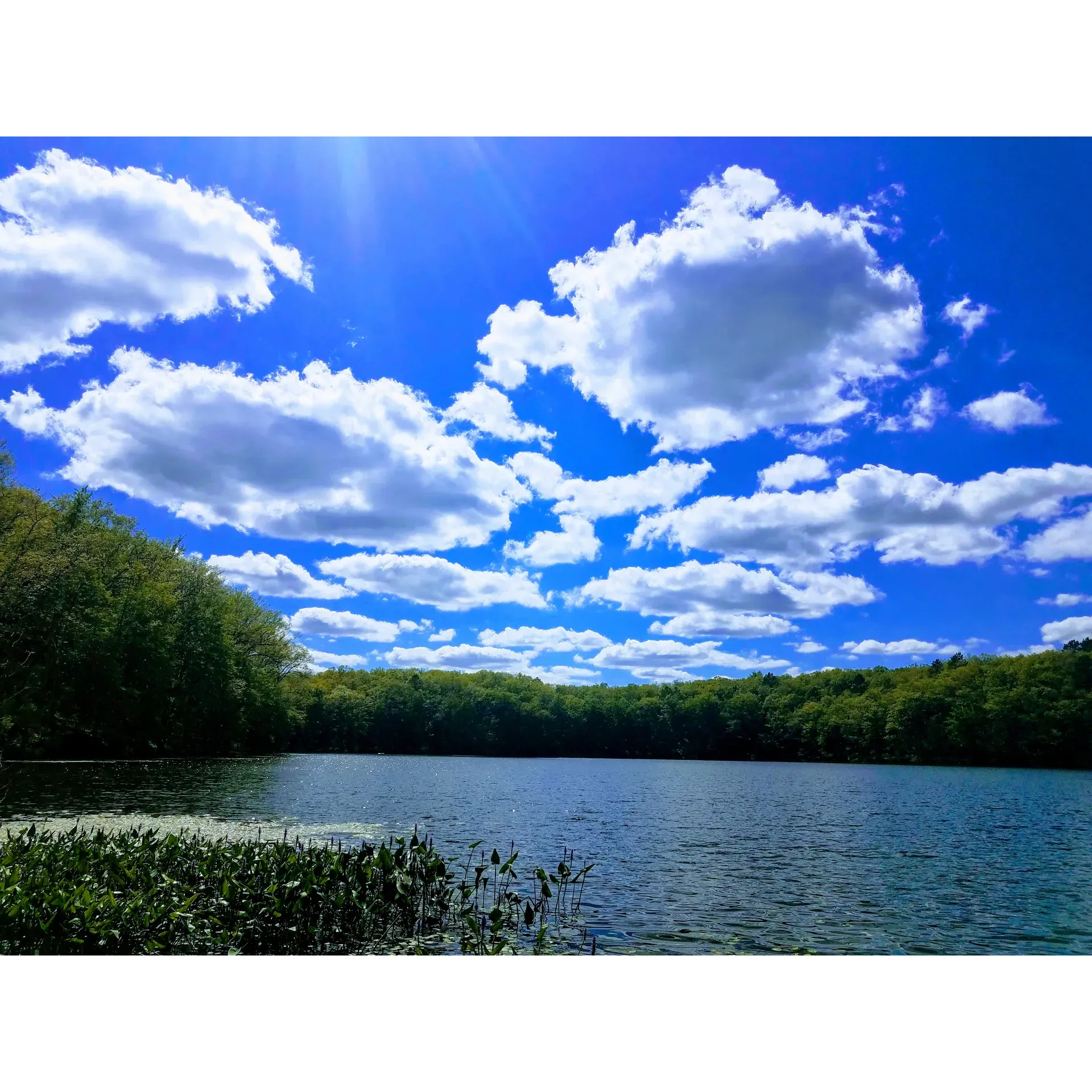 Highbank Lake Campground is a quaint, rustic retreat where simplicity and nature blend seamlessly to provide an authentic outdoor experience. This charming campground hosts nine well-maintained sites, with a special allocation of three sites exclusively for tent camping, providing a perfect setting for those seeking to immerse themselves in the tranquility of the wilderness. 

The campground is cherished for its beautiful, clear lake, which offers a picturesque sandy beach suitable for swimming and a serene spot for fishing enthusiasts. While state licensing is required for fishing, it is a delightful perk for children who can fish for free, adding to the family-friendly allure of the camp.

Guests appreciate the sense of peace and the cleanliness of the area, with thoughtfully provided fire pits complete with grates for an enjoyable campfire experience. The natural trails surrounding the campground are a highlight for those who delight in exploring and appreciating the scenic beauty on foot.

While offering a back-to-basics approach, with one centrally located water source for campers to fill their jugs, the site ensures convenience for its guests. For those looking for modern amenities, such as shower facilities, there is another campground nearby providing those services.

Visitors often share their appreciation for the peaceful atmosphere, emphasizing the well-kept grounds, maintained by a welcoming and attentive Park host named Dave. The campground's first-come, first-serve basis makes it an accessible option when other parks are booked up months in advance, providing flexibility and spontaneity for last-minute trips.

The emphasis on a serene environmental experience is enjoyed by many—families find joy in the simple pleasures afforded by the great outdoors and the sense of community among campers.

Returning guests and new visitors alike find Highbank Lake Campground an idyllic escape, perfect for reconnecting with nature, enjoying a spot of fishing or a swim, and creating cherished memories amidst the beauty of the surrounding landscape. Description by ChatGPT.