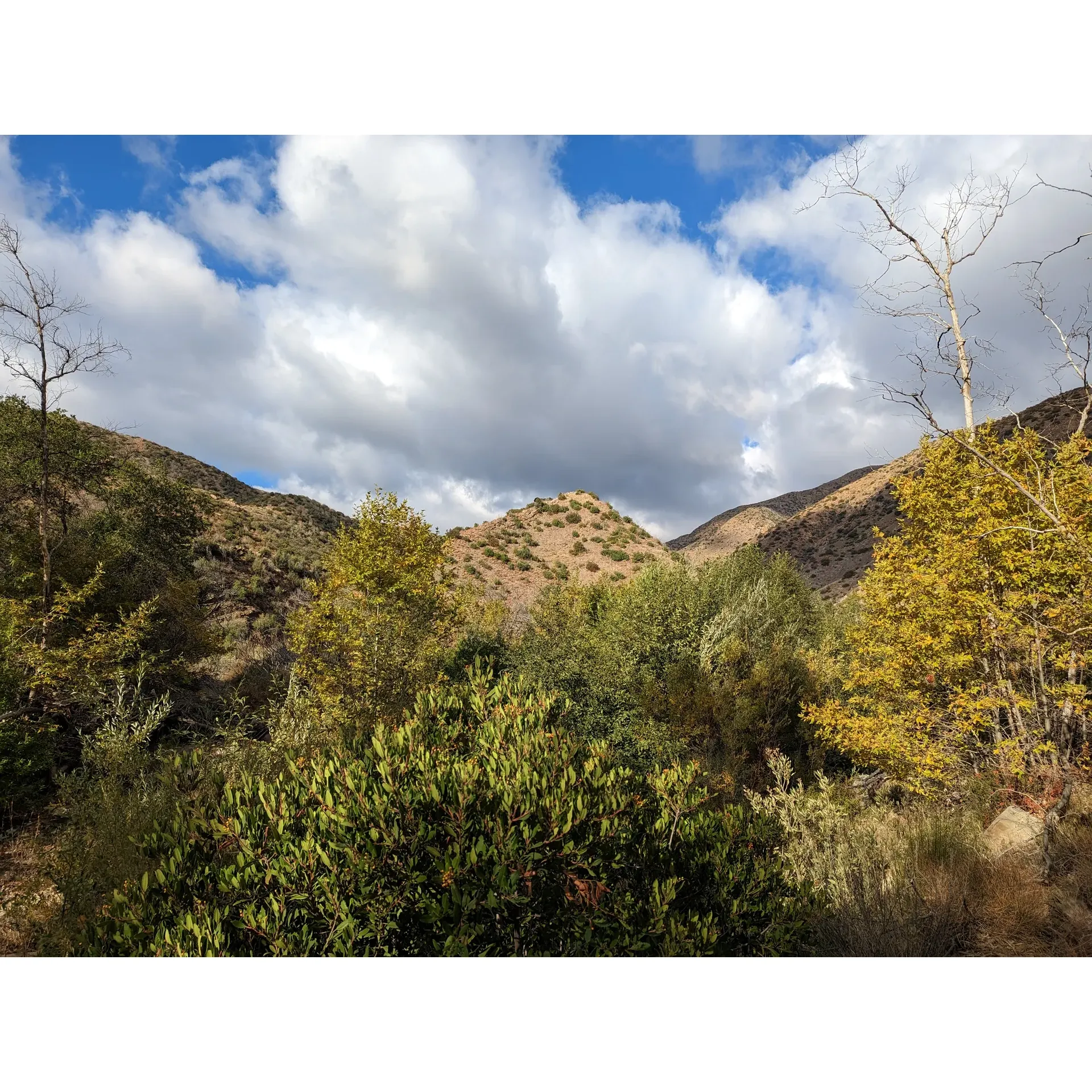 Middle Matilija Campground offers a serene retreat for outdoor enthusiasts looking to immerse themselves in nature's simplicity and beauty. At this scenic destination, campers find ample space to accommodate medium-sized groups, creating an inviting atmosphere for family gatherings or friendly get-togethers in the great outdoors. The flowing stream nearby is not just a source of soothing natural sounds but also provides campers with a reliable water supply that typically runs throughout the year.

Visitors who time their excursions in November will find the climate superbly pleasant, with crisp mid-30s temperatures at night that transition into comfortable 60-degree warmth during the day, catering to both cozy campfire experiences as well as enjoyable daytime activities. The campground is well-prepared for those looking to indulge in the traditional camping pastime of storytelling around a fire, boasting an established fire pit ready for use.

The beauty of Middle Matilija Campground is complimented by the abundance of shade provided by the surrounding trees, offering a respite from the summer sun and creating a tranquil oasis for relaxation. In the fall season, the landscape transforms, presenting a unique visual spectacle that contrasts the vibrant spring views, inviting campers to explore and appreciate the changing hues of nature.

For those who seek a spacious setting, the campsite generously accommodates several tents and features not one, but two fire pits and grills, ideal for a hearty outdoor meal with loved ones. The presence of a large tree adds to the site's picturesque charm, while the gentle murmur of the creek threading through camp elevates the ambience, making for an idyllic backdrop to any camping activity.

One of the most enchanting experiences at Middle Matilija Campground is the night sky. Far removed from the luminescent pollution of urban areas, the campground presents an unadulterated celestial theater. Stargazers are treated to a brilliant display as they witness the awe-inspiring beauty of a star-filled sky, celebrating the wonders that lie beyond our world.

This tranquil haven provides an intimate connection with nature, offering a retreat that feels a world away from the hustle and bustle of daily life. Middle Matilija Campground is truly a gem for those seeking a nature-filled escape with the comforts and camaraderie of a communal camping adventure. Description by ChatGPT.