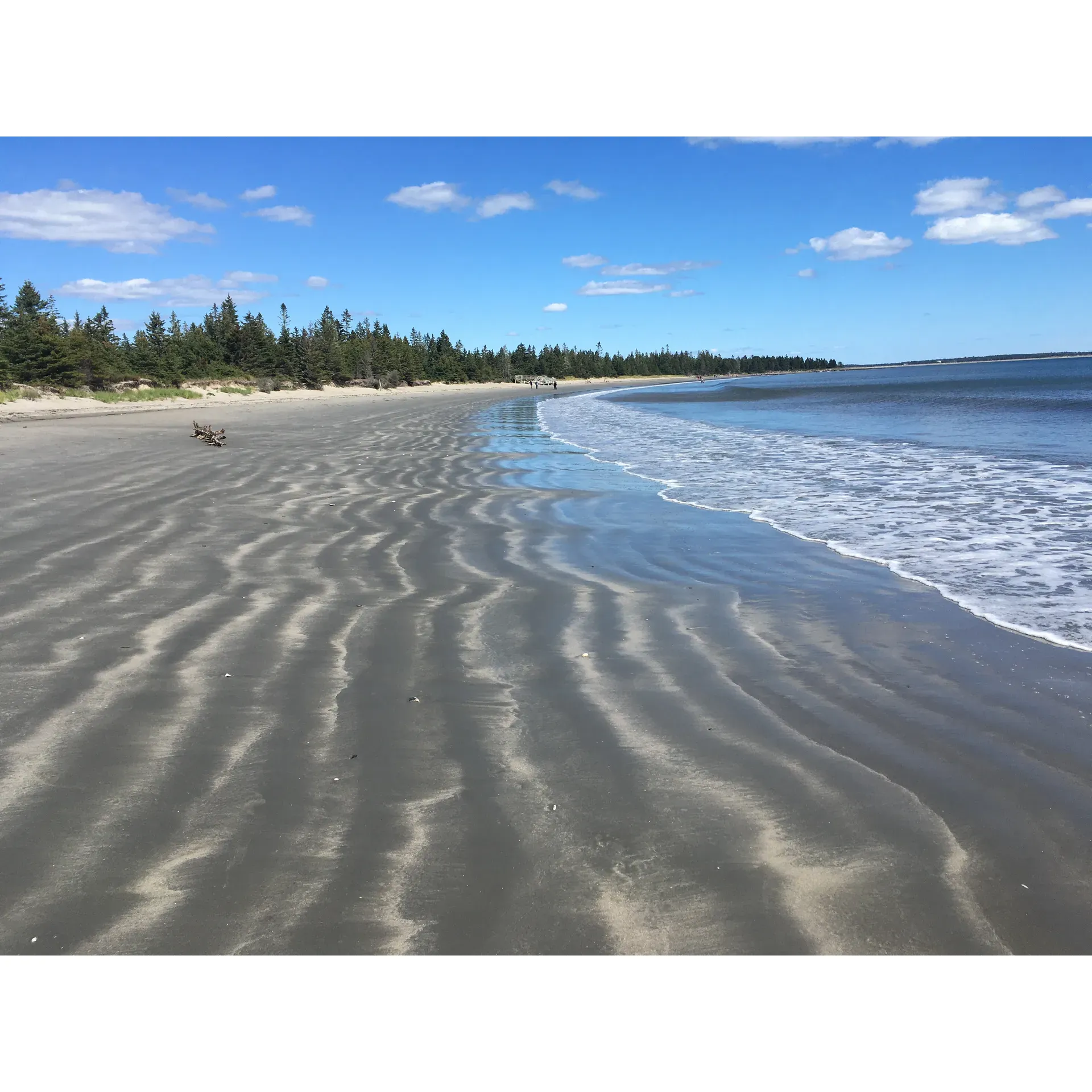 Rissers Beach Provincial Park is an enchanting destination that beckons outdoor enthusiasts and beachgoers alike with its impressive array of natural attractions and recreational opportunities. The park's standout feature is its expansive, pristine beach, characterized by fine sand, with an absence of seaweed and rocks, making it ideal for beachcombing and uncovering a wide assortment of shells.

Visitors can indulge in the uniquely designed boardwalk that winds through a scenic marsh, offering a tranquil escape into nature. Alongside, an accessible, flat pathway meanders through a serene wooded area, perfect for a leisurely stroll or an invigorating hike through the park's diverse habitats.

Culinary delights await at the park's concession, where the fries and veggie burger have garnered accolades as some of the best in Nova Scotia, promising a treat for the taste buds after a day of exploration and fun.

Ideal for overnight adventures, the park's campground boasts a selection of perfectly positioned sites, especially those by the beach, offering stunning views and proximity to the ocean's gentle lull. The sites are thoughtfully laid out to provide a sense of spaciousness and privacy, fostering a convivial atmosphere where friendly and like-minded campers can connect.

The park is celebrated for its warm, inviting waters that are notably warmer than many other south shore beaches, enhancing the swimming experience. Amiable and attentive staff elevate the camping experience, always ready to assist and ensure guests have a memorable stay.

For a secluded retreat, Loop C offers sites with a touch of privacy amidst the surrounding beauty. While the comfort facilities may appear to harken to an earlier era, the allure of the beach, the boardwalk, and the park's natural charm more than compensate, providing a picturesque backdrop for a camping trip filled with relaxation, discovery, and oceanic splendor. Description by ChatGPT.