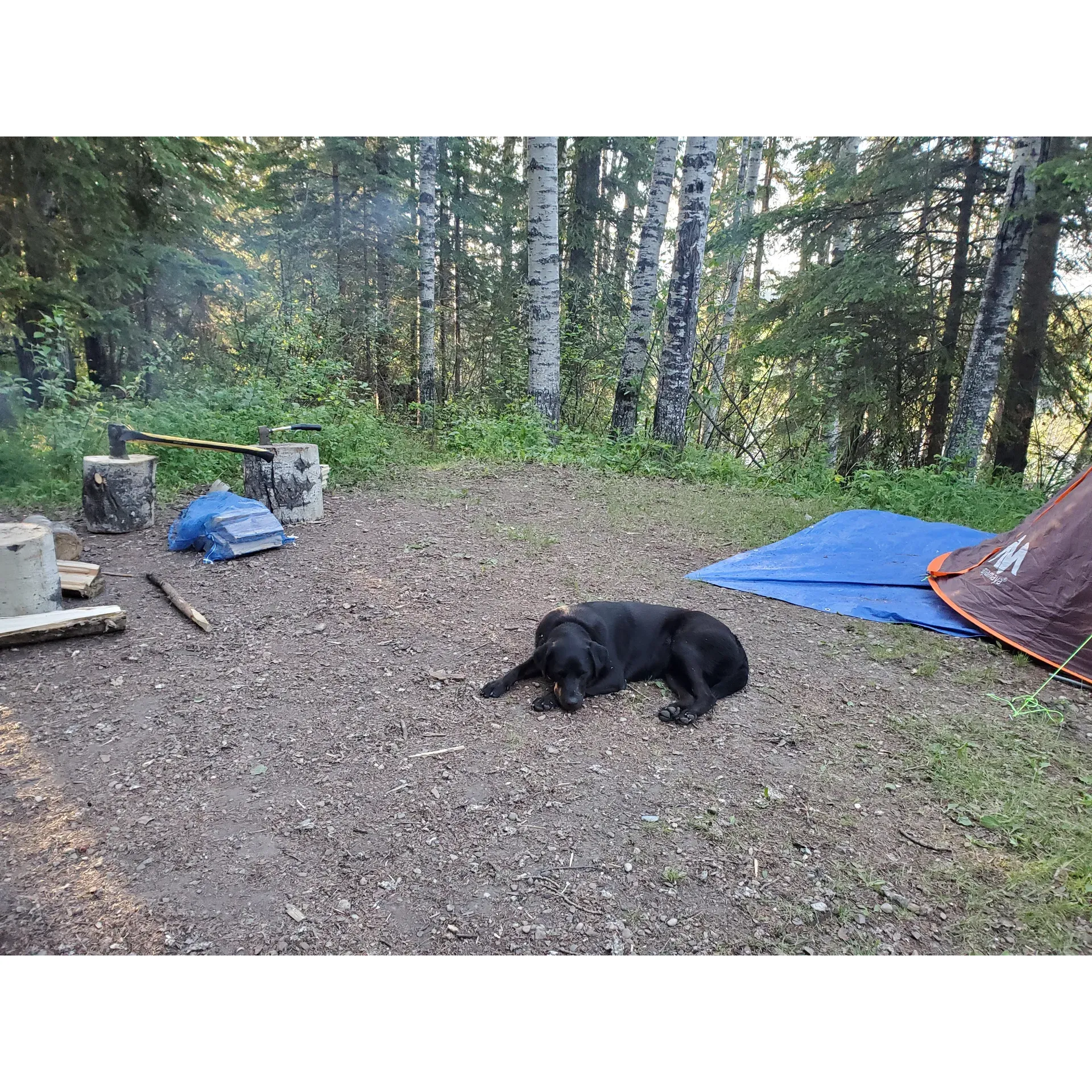 Jerry Vanderwell Memorial Park, located in the inviting expanse of Yellowhead County, offers a perfect retreat for outdoors enthusiasts and families alike looking for a tranquil, idyllic escape from city life. Visitors can find solace in the seclusion of verdant, tree-lined campsites that provide a sense of privacy and a hushed, peaceful environment, even when the park is bustling with fellow nature lovers.

A mere two-minute stroll through lush trails will lead adventurers to the scenic banks of the McLeod River, an excellent spot for riverside exploration and seasonal foraging. The park boasts a hearty network of trails that beckon hikers and nature buffs to discover the bounty of the local flora and fauna.

Catering to comfort-seekers, the park provides spacious campsites that grant ample room for relaxation and play. Additionally, a new playground is sure to delight younger visitors with its exciting equipment, while the park's commitment to maintenance ensures that amenities like clean outhouses with soft toilet paper enhance the camping experience.

Perfectly situated, the park is only a ten-minute jaunt from the nearby town of Peers, where supplies are readily available, making for a convenient base to explore the region's attractions. With an affordable rate and the charm of rustic camping (sans hookups), the park is a haven for those looking to disconnect and immerse themselves in nature.

The park's heartwarming hospitality, led by a dedicated manager, ensures that every stay is memorable. Campers often leave feeling grateful for the attentive service and the friendships formed with staff—a testament to the warm community atmosphere.

In summary, Jerry Vanderwell Memorial Park is an enchanting locale that delivers a nature-rich experience, superb hiking, child-friendly activities, and the kind of pastoral beauty that makes every visit rejuvenating and beckons visitors to return time and again. Description by ChatGPT.