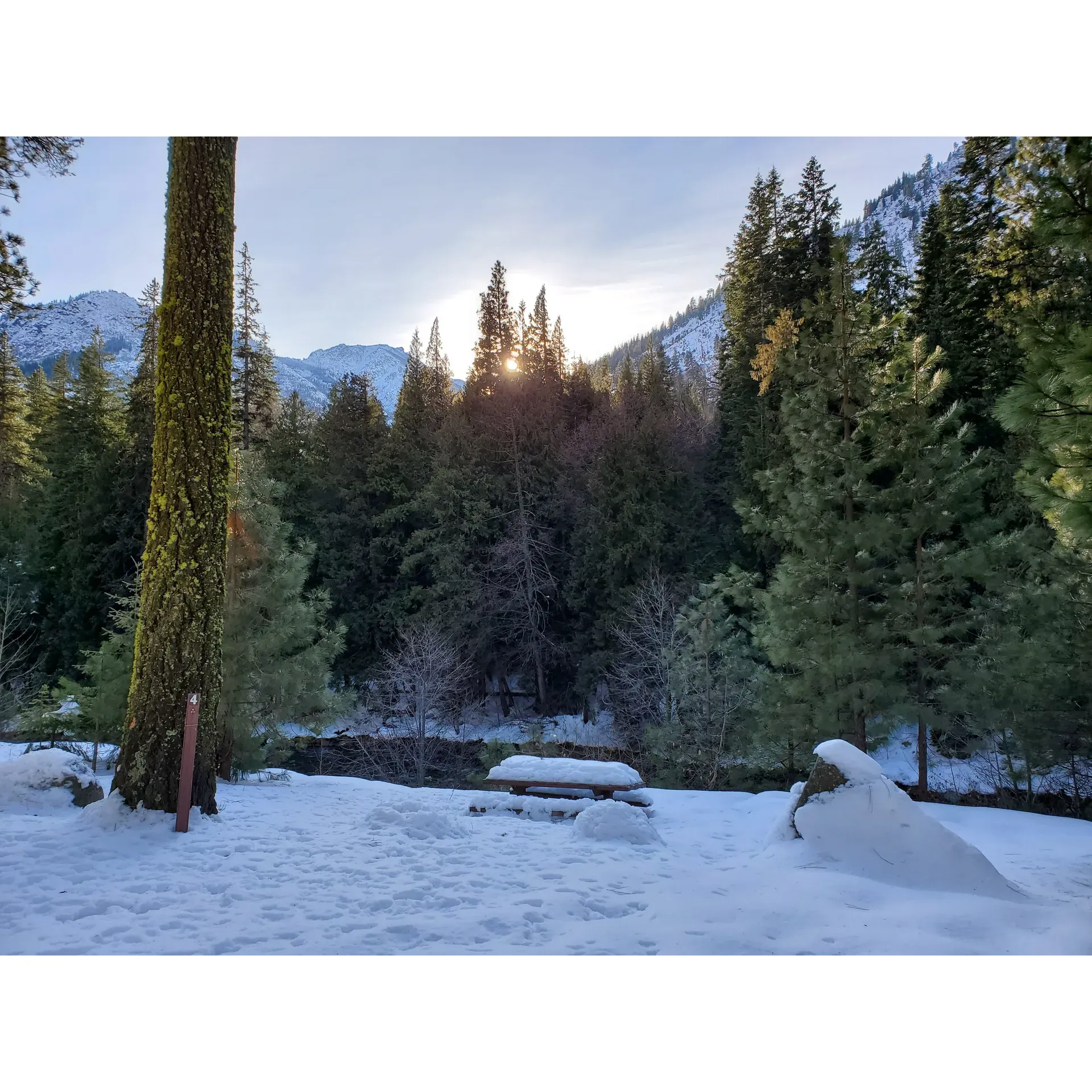 Bridge Creek Campground is an idyllic outdoor haven providing a serene escape alongside the picturesque Icicle Creek. With only six intimate sites, campers are treated to a tranquil and spacious environment where the soothing sounds of water create a peaceful backdrop for any stay. Priced accessibly, the campground includes accommodations for one vehicle per site and welcomes pet owners to bring their dogs on leashes, ensuring that your furry friends can join in on the adventure.

The area boasts a convenient layout with essential amenities such as a well-maintained bathroom and a central dumpster to keep the campground clean and comfortable. For those looking to enjoy the great outdoors with a larger group, a designated group site awaits at the end of the road, perfect for memorable gatherings immersed in nature.

Visitors rave about the campground's perfect balance of proximity to natural attractions and the secluded feel of the sites. It has become a sought-after destination for those wishing to indulge in the calming ambiance afforded by the creek's melody. The river itself invites guests to swim and froth in its refreshing waters, while nearby hiking trails beckon adventurers to explore the scenic beauty on foot.

During the winter months, Bridge Creek Campground transforms into a snowy paradise ideal for snowshoeing enthusiasts. This four-season destination ensures that whether blanketed by snow or basked in sunlight, the campground remains a favorite spot for both relaxation and recreation. Guests leave with cherished memories and a desire to return, making Bridge Creek Campground a hidden gem for both seasoned campers and outdoor novices alike. Description by ChatGPT.