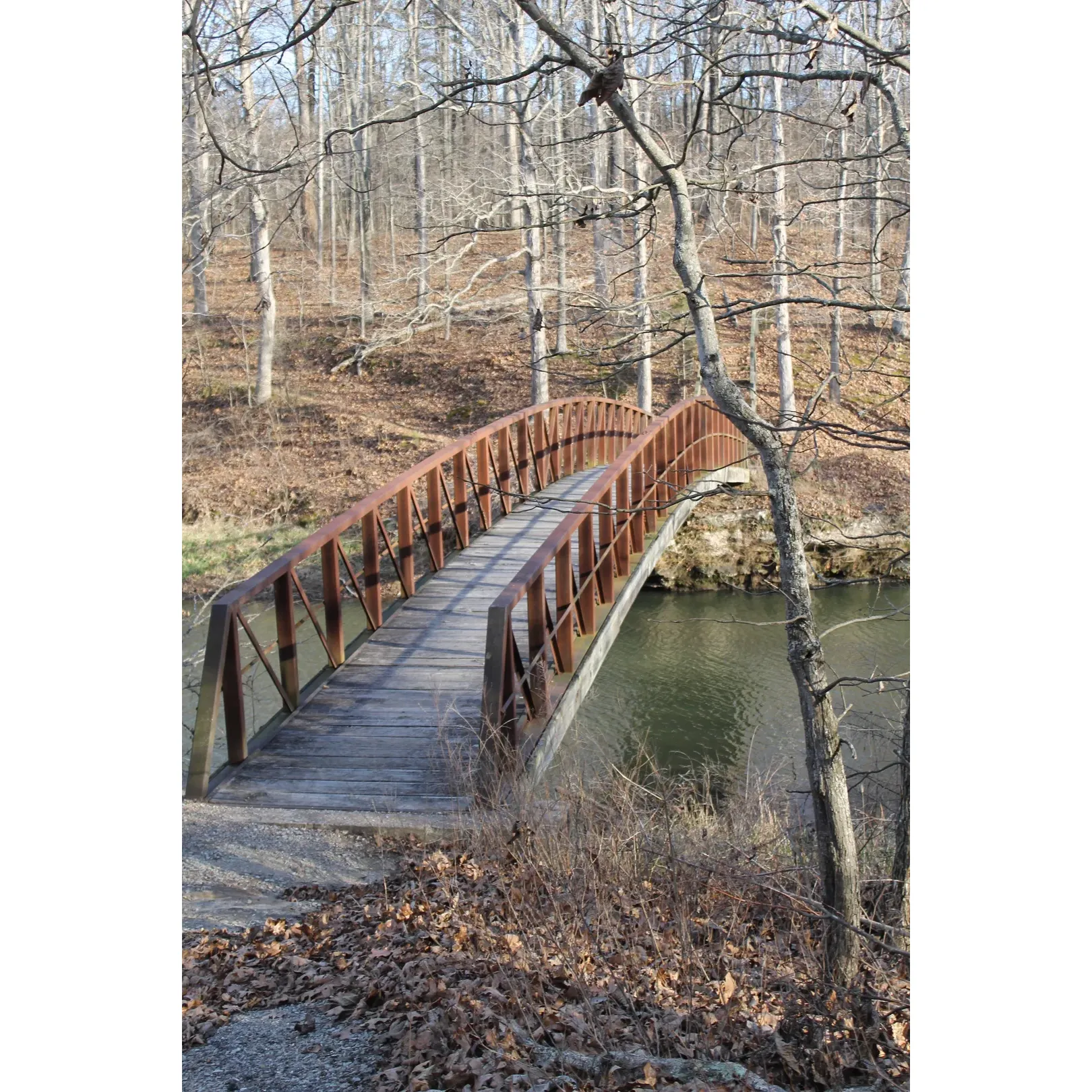 Johnson Creek Recreation Area is a serene and picturesque destination that offers visitors a true escape into the great outdoors. With its expansive skies free from light pollution, the area is a spectacular spot for stargazing and soaking in the natural beauty of the night sky. Boasting a rich array of wildlife, guests may catch a glimpse of majestic herons in a range of hues, white and blue, quietly coasting over the tranquil waters of the creek or observe the lively dances of fish and turtles in their natural habitat.

The area is a haven for those who appreciate the beauty of untouched nature and prefer a more primitive camping experience. The campsites are spacious and include ample parking, making it convenient for cars and horse trailers alike. With the availability of nice fire rings, campers can enjoy the traditional camping experience of gathering around a cozy fire under the starlit sky. This is a perfect setting for individuals seeking solitude, families looking for a private reunion site, scout groups on outings, or anyone who wants to disconnect and immerse themselves in peaceful wilderness.

Additionally, Johnson Creek Recreation Area stands out as an ideal spot for equestrian enthusiasts to bring their horses and explore the surroundings, celebrating the compatibility of the recreation area with horseback riding activities.

With the nearby creek offering a serene backdrop, the breathtaking views at dawn are sure to start one’s day with a sense of awe and tranquility. The landscape surrounding Johnson Creek Recreation Area promises an unforgettable experience for those who venture into its embrace. Whether you are looking to connect with nature or find a quiet spot to unwind, this destination provides a unique outdoor retreat for nature lovers and adventurers. Description by ChatGPT.