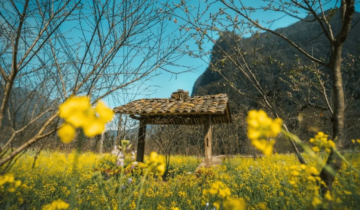 ha-giang-travel-guide.png