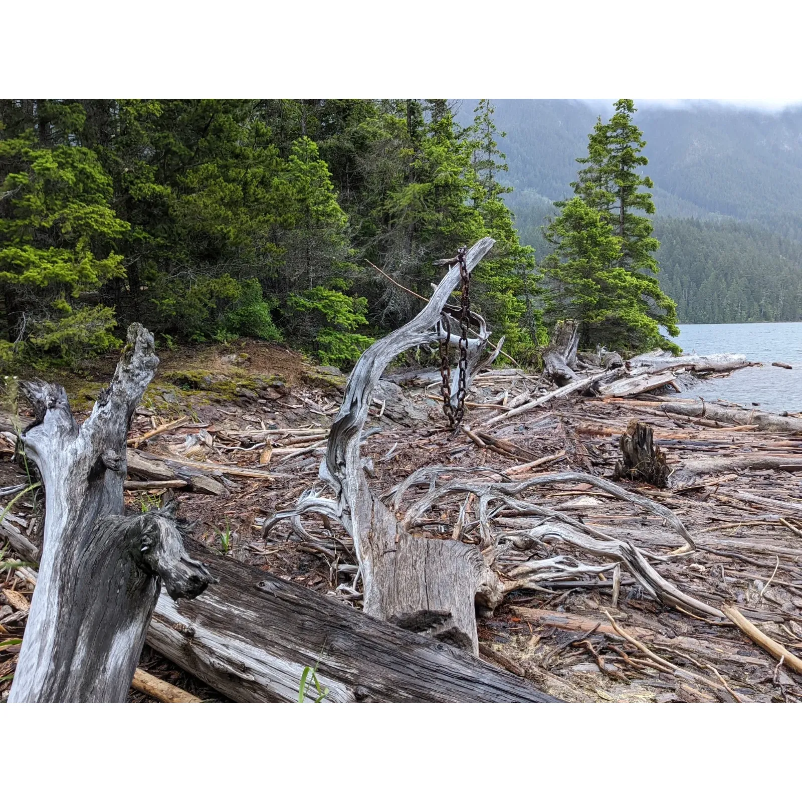 Discover the serene beauty and rustic charm of Roland Point Campground, a unique outdoor retreat tucked within the Ross Lake National Recreation Area. Boasting a tranquil atmosphere amidst one of America's pristine wilderness locations, Roland Point offers adventurers a truly secluded setting to connect with nature.

Designed for those with a love of the undisturbed outdoors, each campsite comes equipped with the basic amenities necessary for an authentic camping experience. Guests can revel in the simplicity of a provided picnic table for gathering with loved ones, utilize the secure bear locker for food storage, and enjoy the convenience of an on-site pit toilet.

Roland Point Campground, with its remote waterfront location, is an exclusive haven accessible solely by water, providing a sense of privacy and escape not easily found elsewhere. Campers are rewarded with a sense of solitude and the opportunity to embrace the tranquility of the natural world without the intrusion of bustling crowds.

Beyond the confines of the camp, visitors can immerse themselves in the splendor of Ross Lake National Park. Although separate from the lake's trail systems, the area presents a plethora of opportunities for exploration and adventure. Water activities such as canoeing and fishing on the glistening waters of Ross Lake are favorite pastimes, inviting campers to while away their days surrounded by breathtaking scenery.

Roland Point Campground is a place where time slows, allowing guests to unwind and enjoy a camping experience that harks back to the essence of outdoor living. This destination is not just a campsite; it's a retreat for those seeking to experience an intimate encounter with the vast and untouched splendor of the American wilderness. Description by ChatGPT.