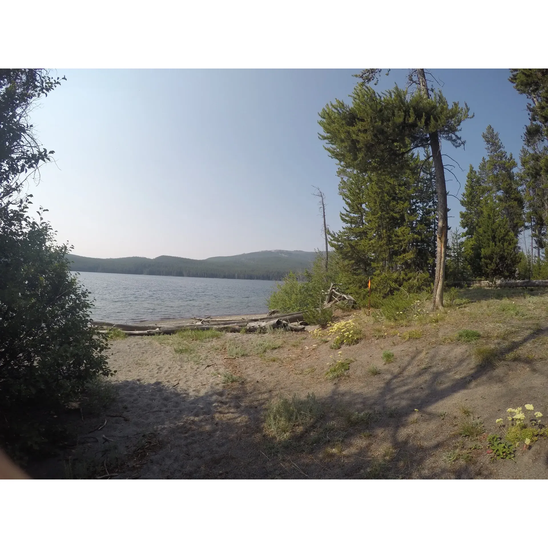 Flat Mountain Arm North offers outdoor enthusiasts an exceptional camping experience on the picturesque shores of Yellowstone Lake. Visitors can immerse themselves in the natural grandeur of the area across the unique three-tiered site. The venue features a serene sand beach fronting a tranquil lagoon, providing an ideal spot for relaxation and water activities.

Further up, campers can gather around a communal fire pit, perfect for cooking and enjoying the camaraderie that comes from shared stories under the stars. This space, complete with a bear hang for safe food storage, ensures a blend of convenience and safety.

Elevated above these areas lies the tent zone, a cozy enclave that boasts impressive, breathtaking views. Although compact, this space is laid out to provide a comfortable and intimate setting, allowing guests to connect with the wilderness.

The campsite's location offers a harmonious balance with the local wildlife, and while the engaging chipmunks are part of the charm, campers have found smart ways to manage their playful antics. Additionally, the environment is noted for its minimal bug interference, allowing for uninterrupted enjoyment of the great outdoors.

With its stunning vistas and multi-leveled design, Flat Mountain Arm North presents an unforgettable escape for nature lovers and adventurers alike, looking for a beautiful lakeside retreat among the awe-inspiring landscapes of Yellowstone. Description by ChatGPT.